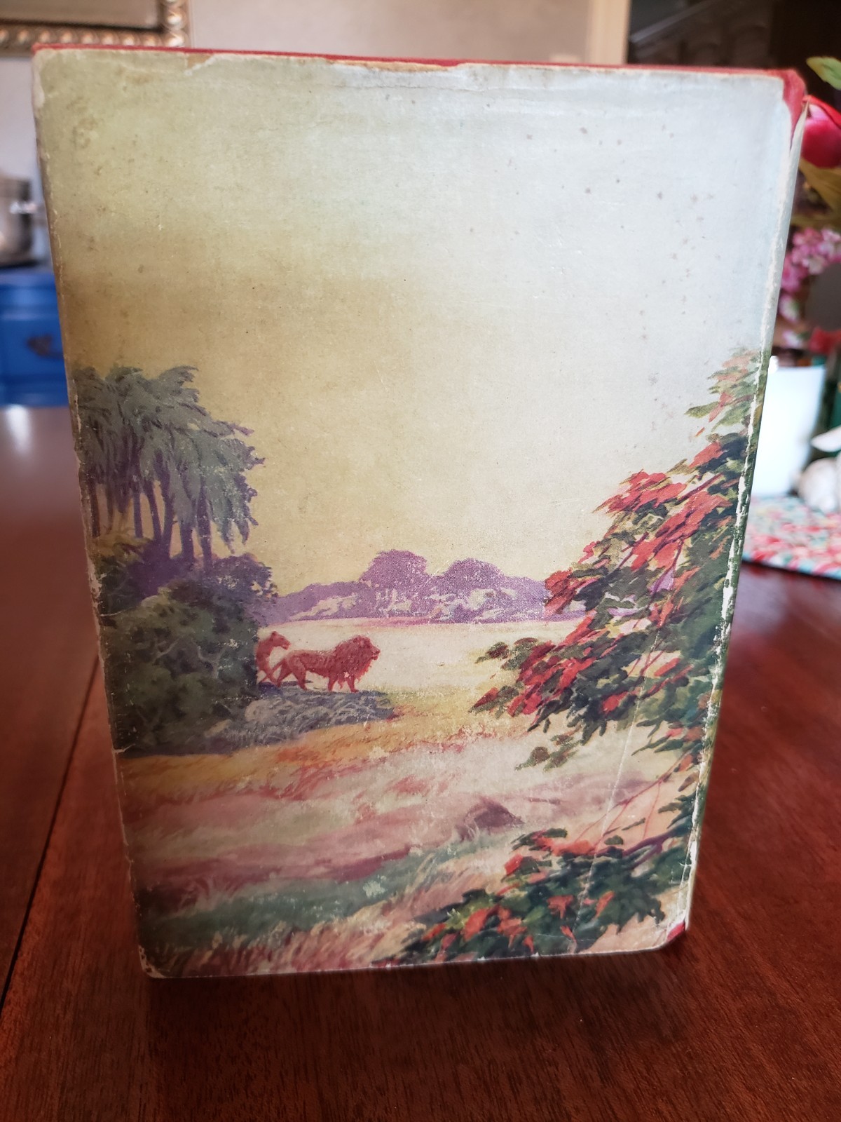 Tarzan of the Apes by Edgar Rice Burroughs, 1st Grosset & Dunlap edition 1927