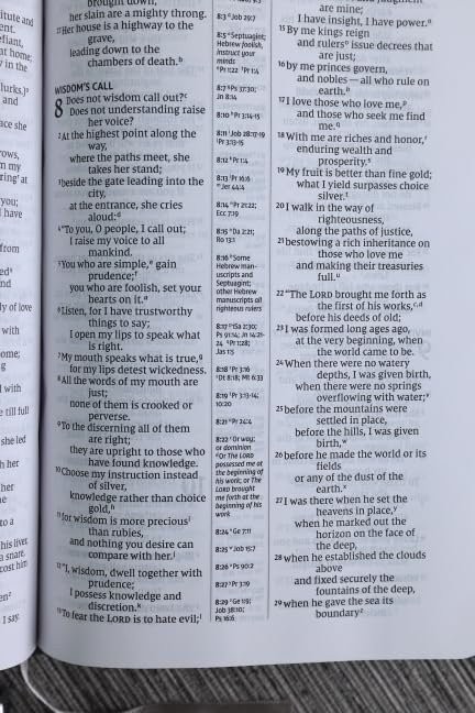 NIV, Compact Center-Column Reference Bible, Leathersoft, Black, Red Letter,