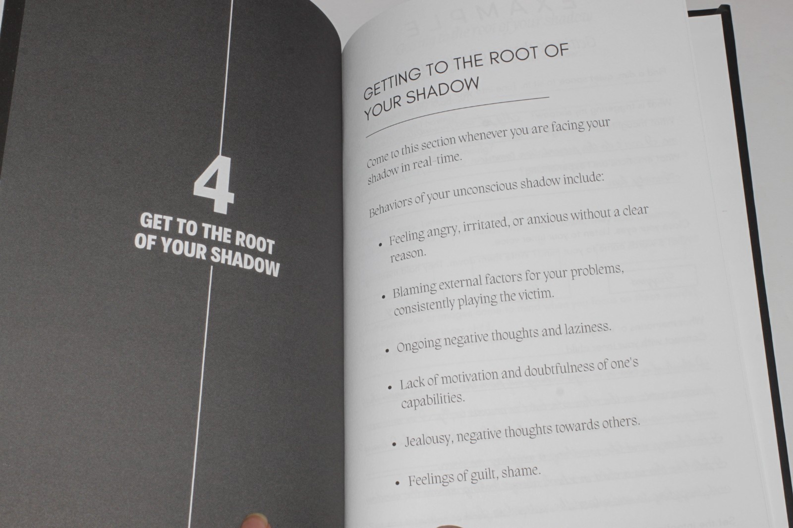 The Shadow Work Journal (Hardcover 2023)