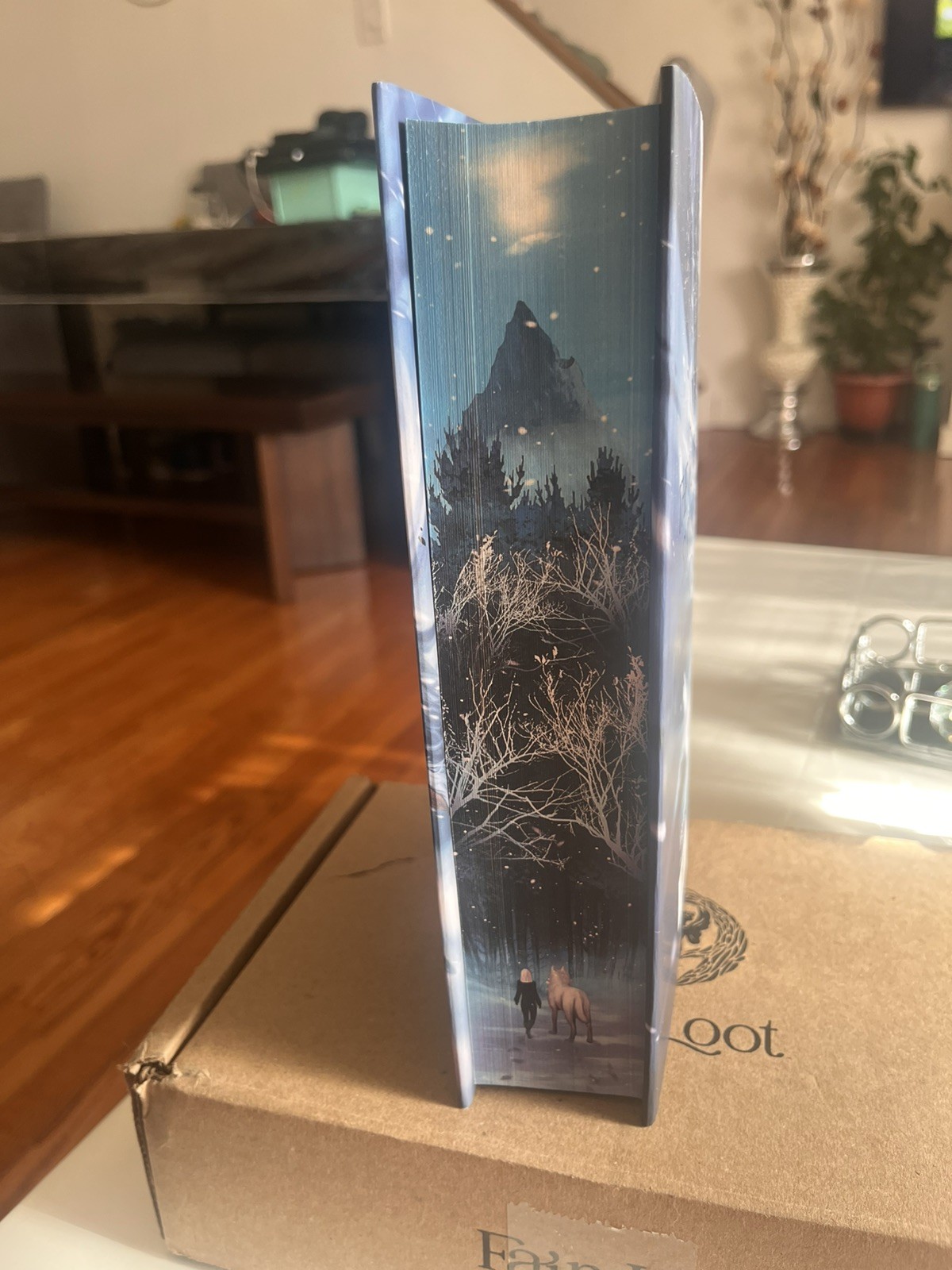 Dire Bound Fairyloot Special Edition