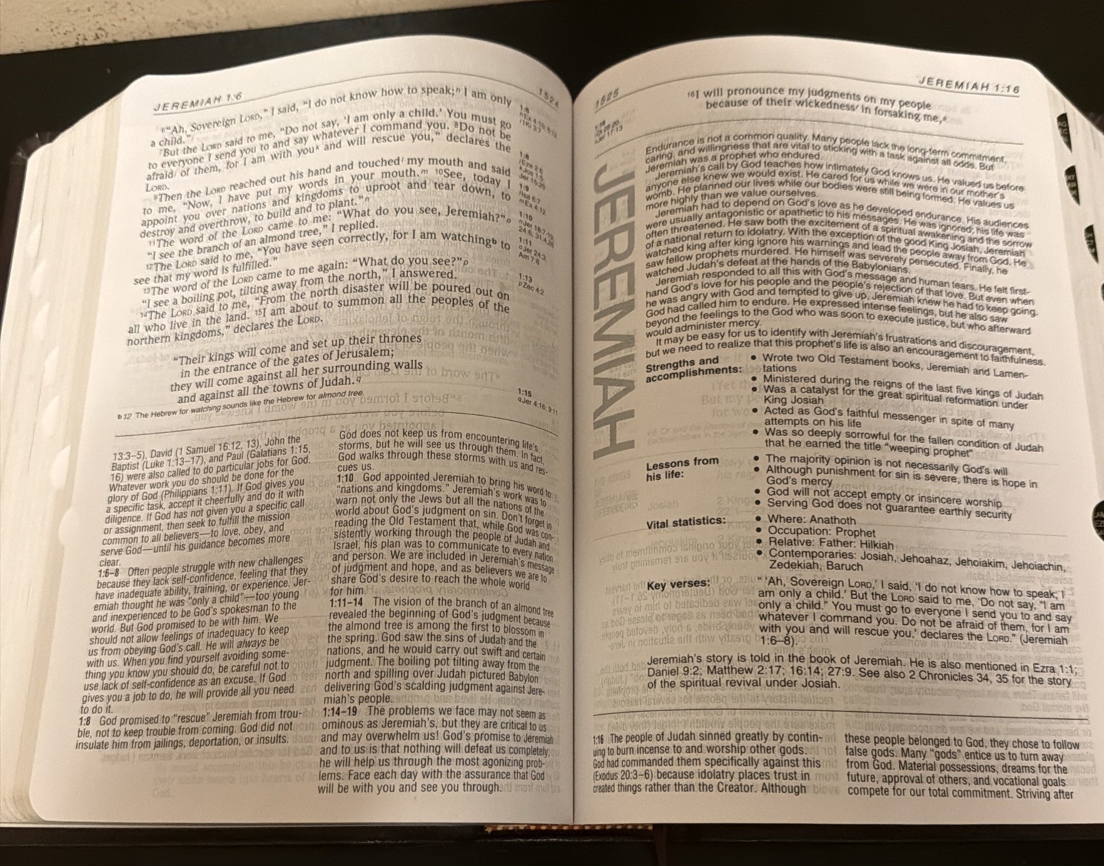 Life Application Study Bible NIV Large Print Edition Burgundy Bonded Leather