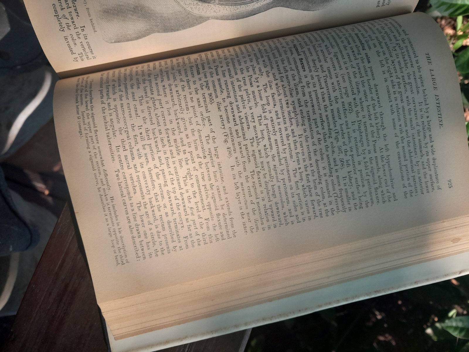 Gray’s Anatomy: The Classic Collector’s Edition~Henry Gray~VINTAGE 1977 HC/DJ