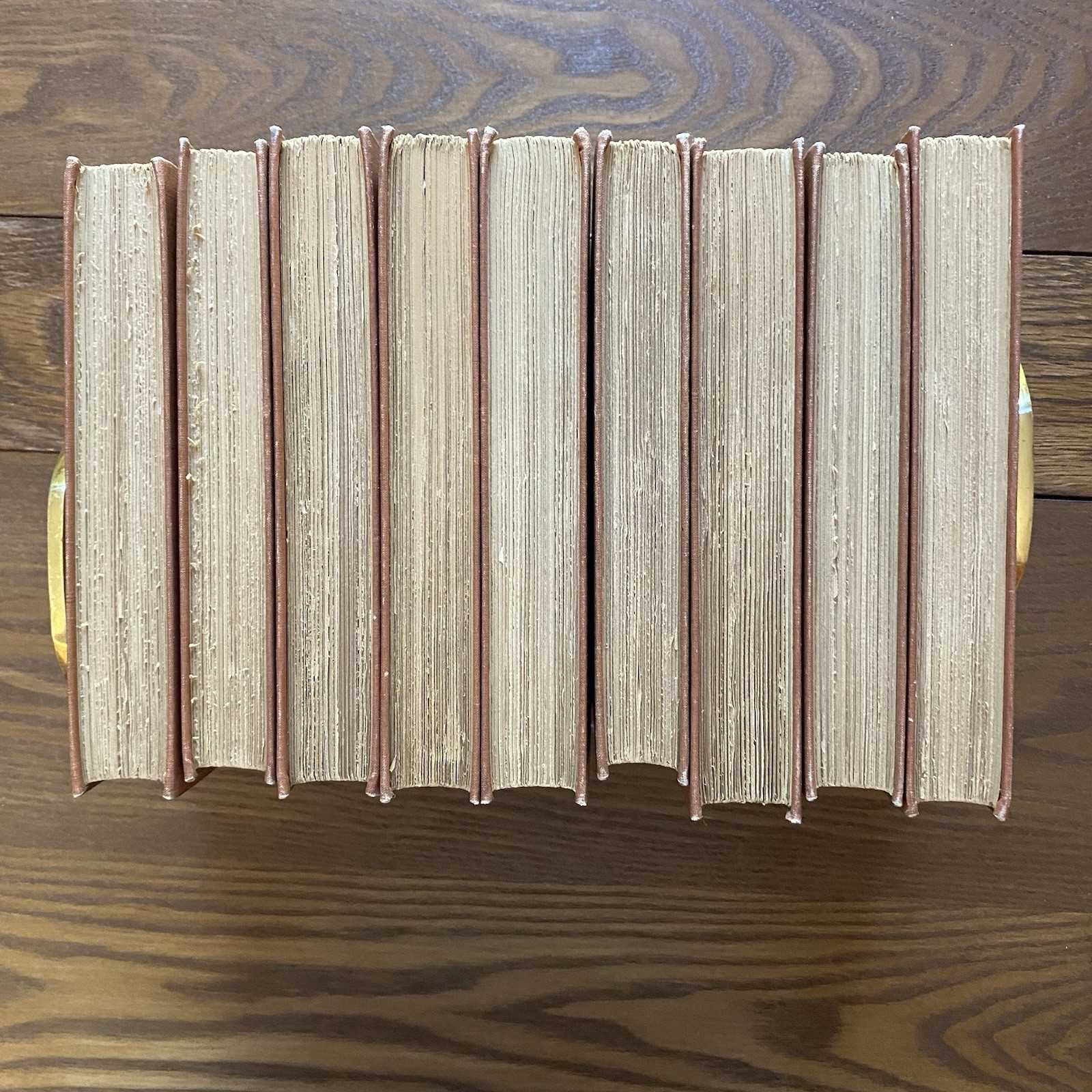 Antique D Appleton 1898-1899 Social Science Book Lot 9 Hardcover Volumes