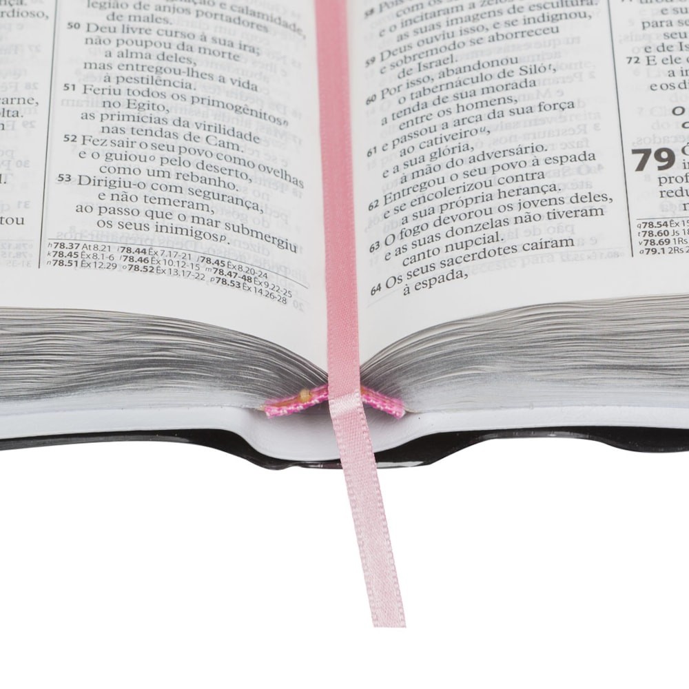 Biblia Sagrada: ARA – Capa: Flexivel em Couro – Letra: Grande (Portugues Brasil)