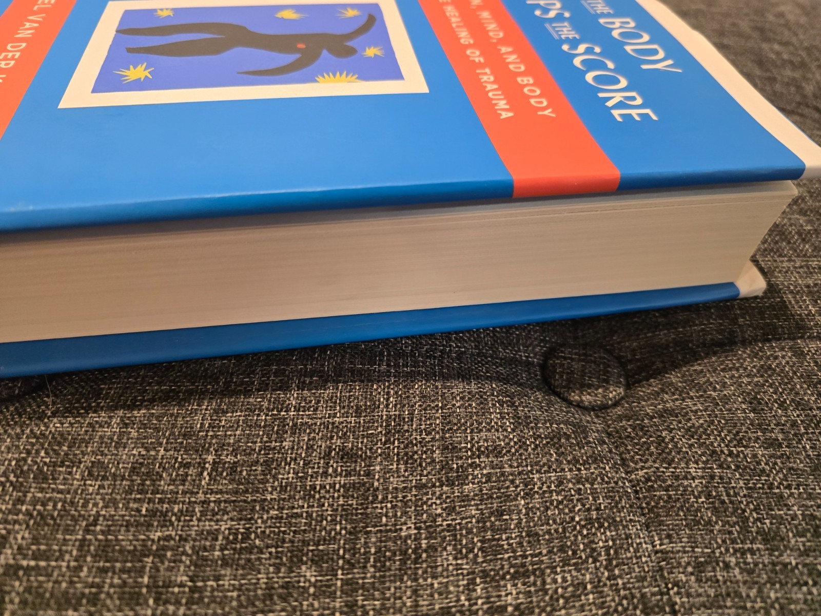 EUC Hardcover Book-The BODY KEEPS the SCORE/Bessel Van Der Kolk, M.D.-Psychology