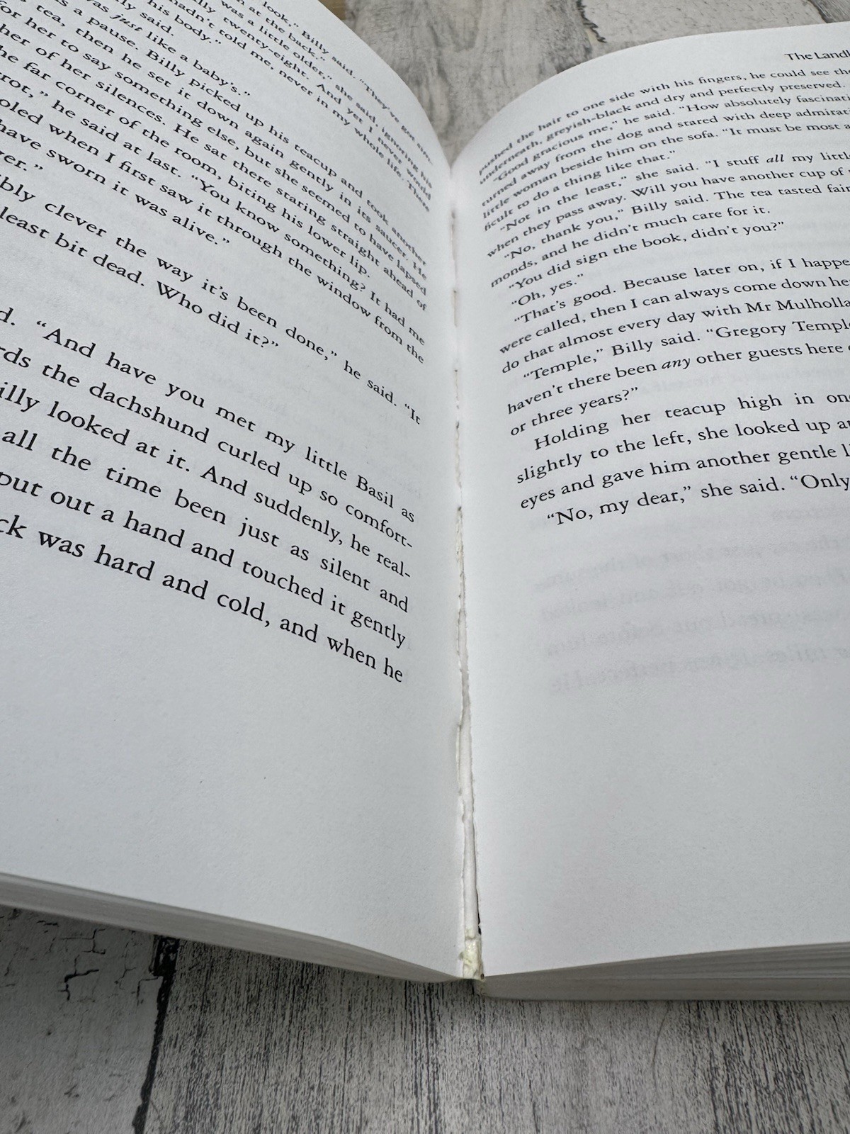 Roald Dahl Umbrella Man Advance Reading Copy ARC Viking Proof