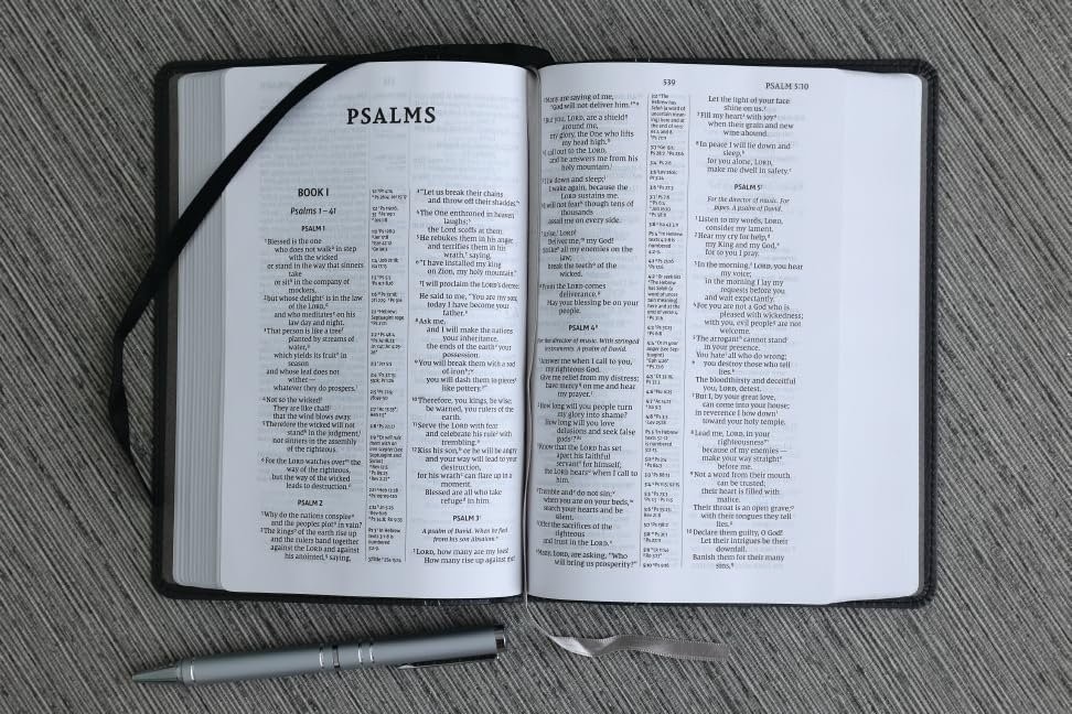 NIV, Compact Center-Column Reference Bible, Leathersoft, Black, Red Letter,