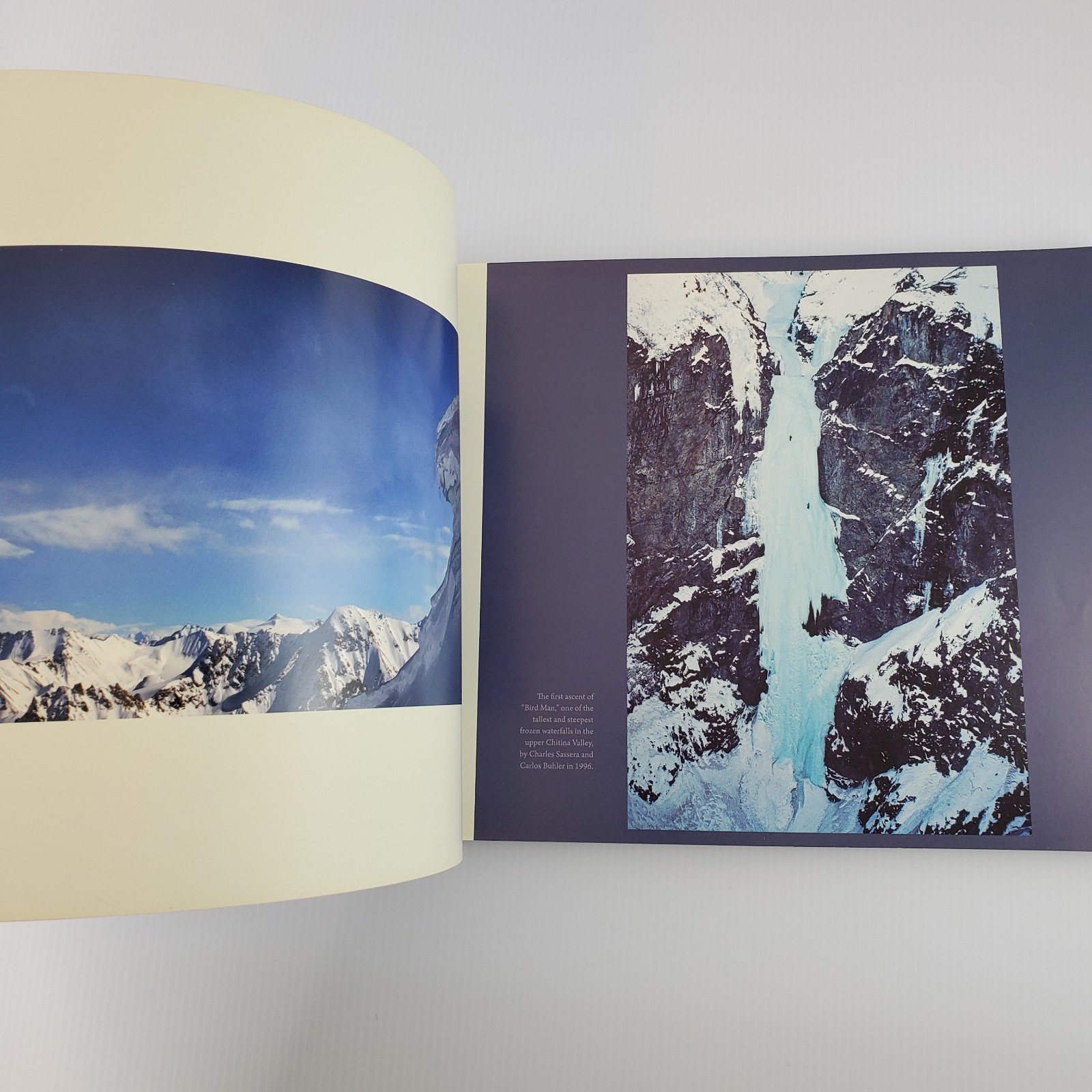 Signed ~ My Wrangell Mountains by Ruedi Homberger Jon & Jona Van Zyle 2011 PB