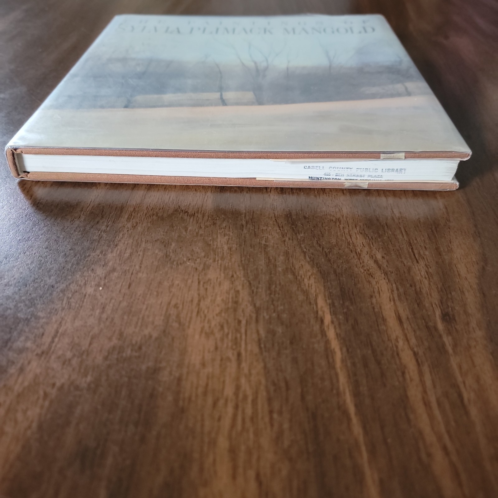 The Paintings of Sylvia Plimack Mangold: 1965-1982 Thomas H. Garver