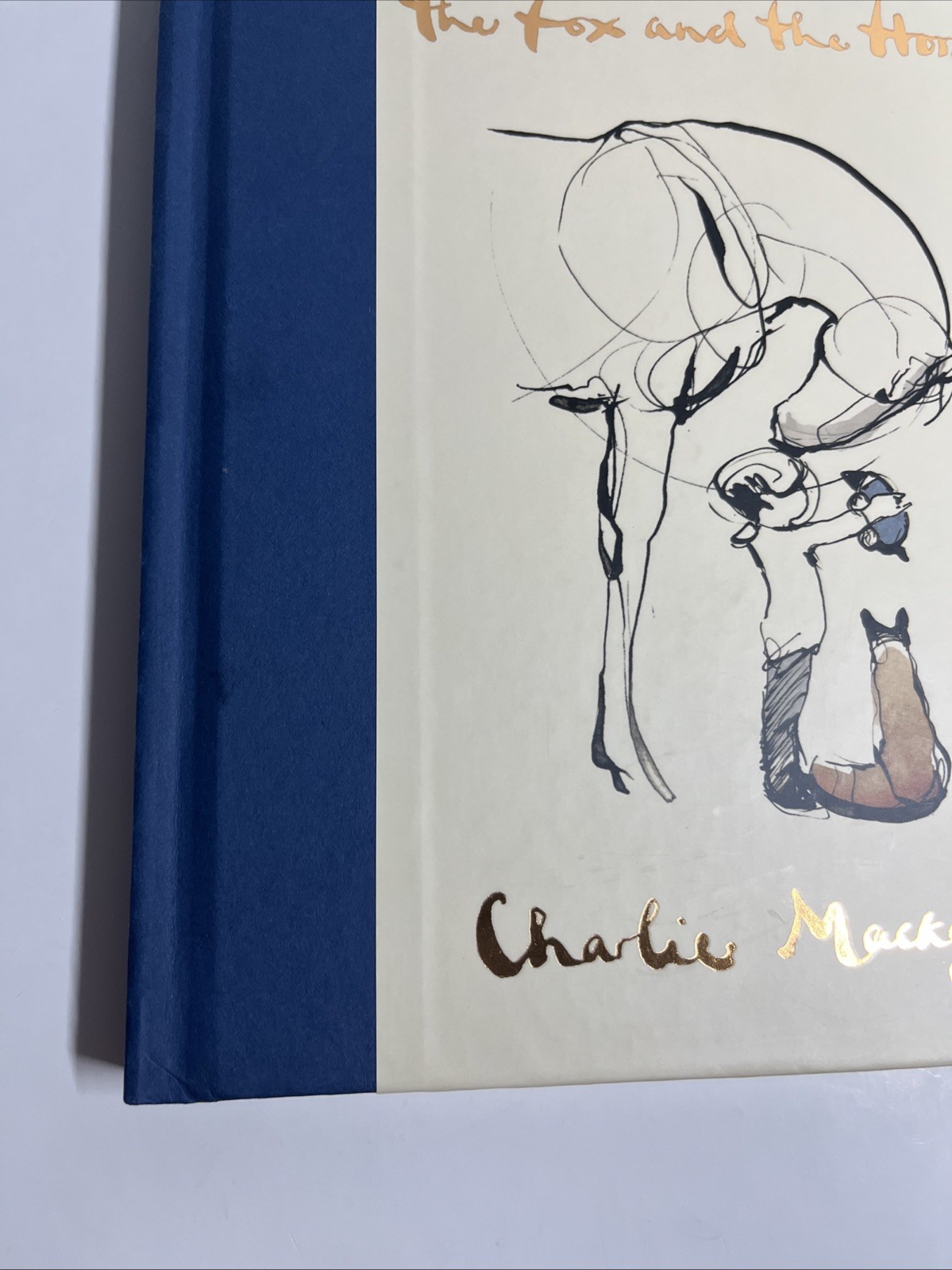 The Boy the Mole the Fox and the Horse & Always Remember by Charlie Mackesy