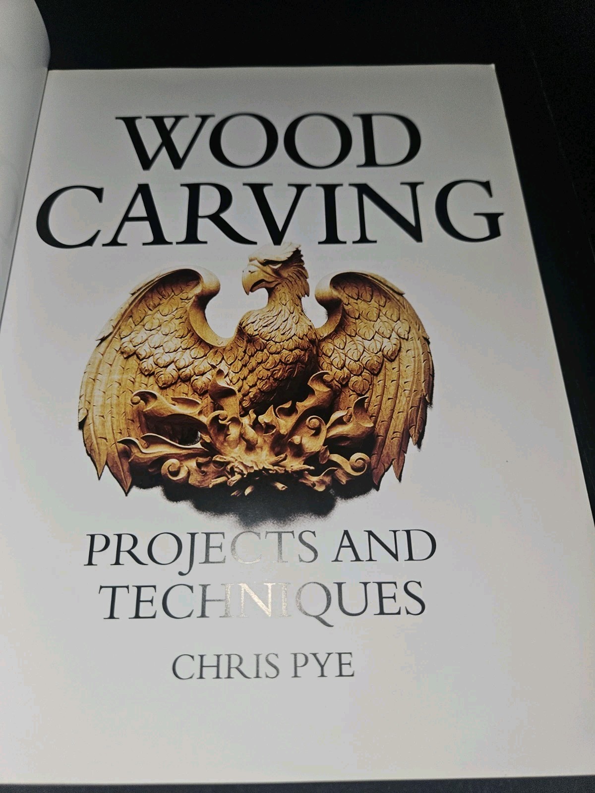 Wood Carving : Projects and Techniques by Chris Pye (2008, Trade Paperback)