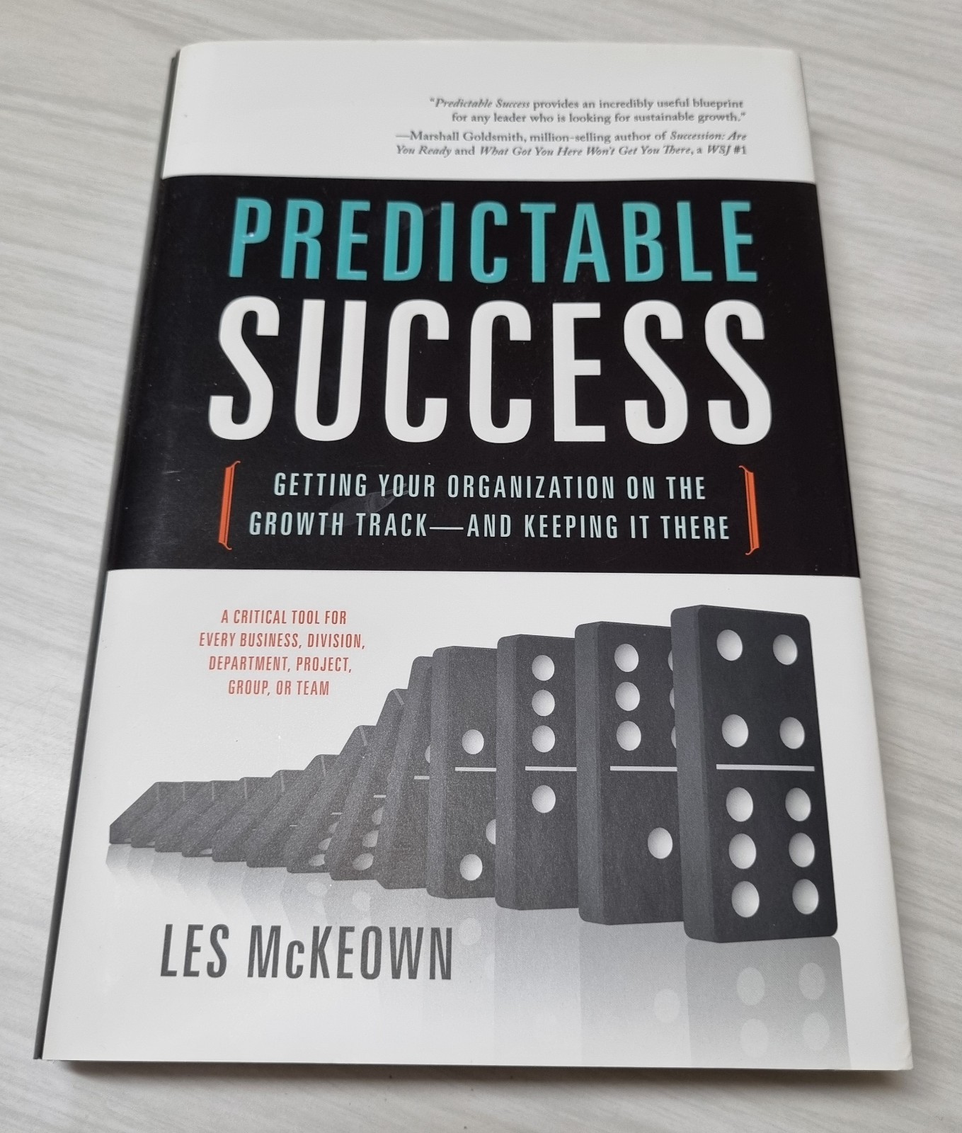 Predictable Success Getting Your Organization on the Growth Track and Keeping