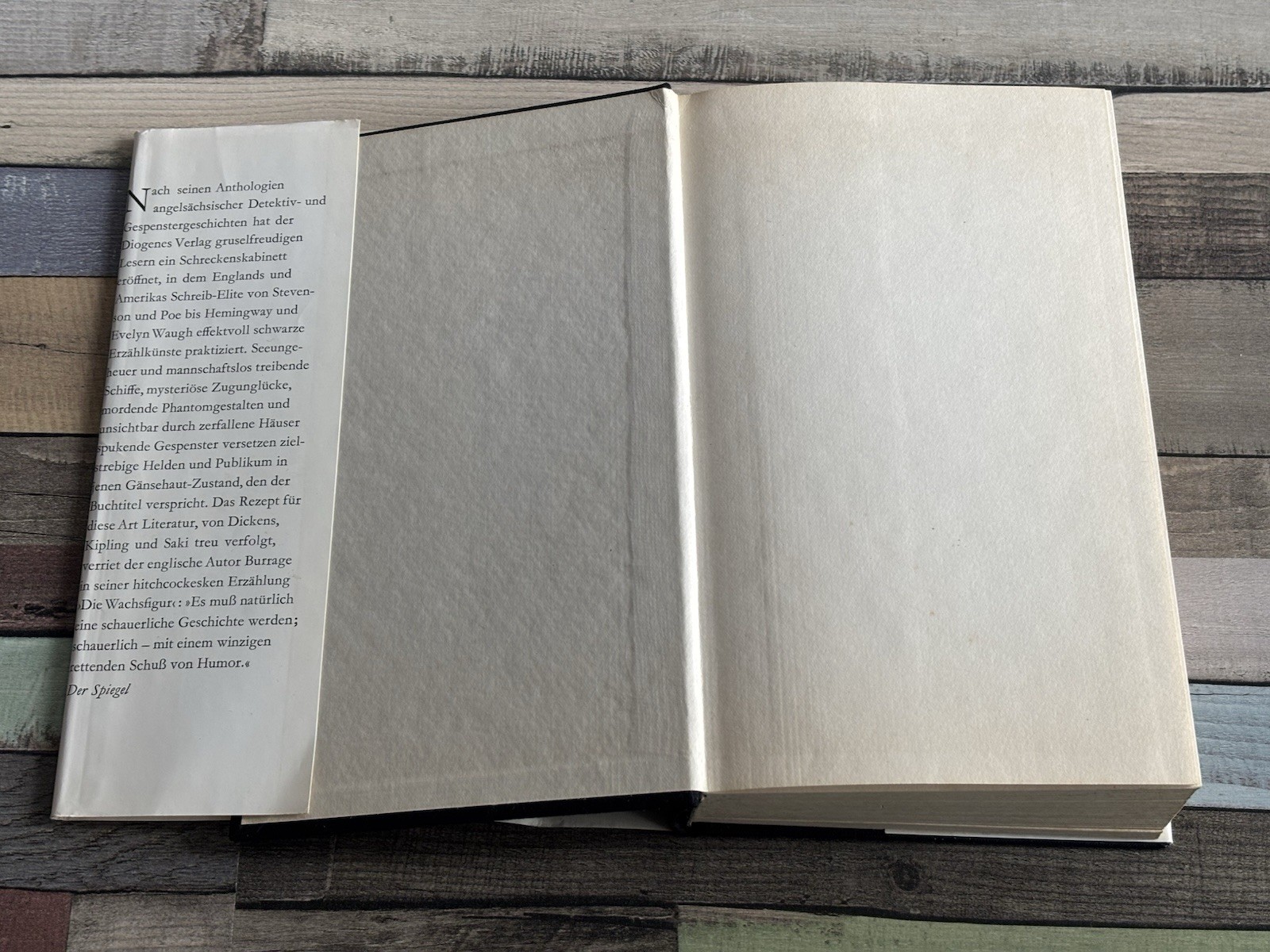 📚Buch Gruselgeschichten Poe bis Hemingway – Diogenes Sonderband mit Zeichnungen