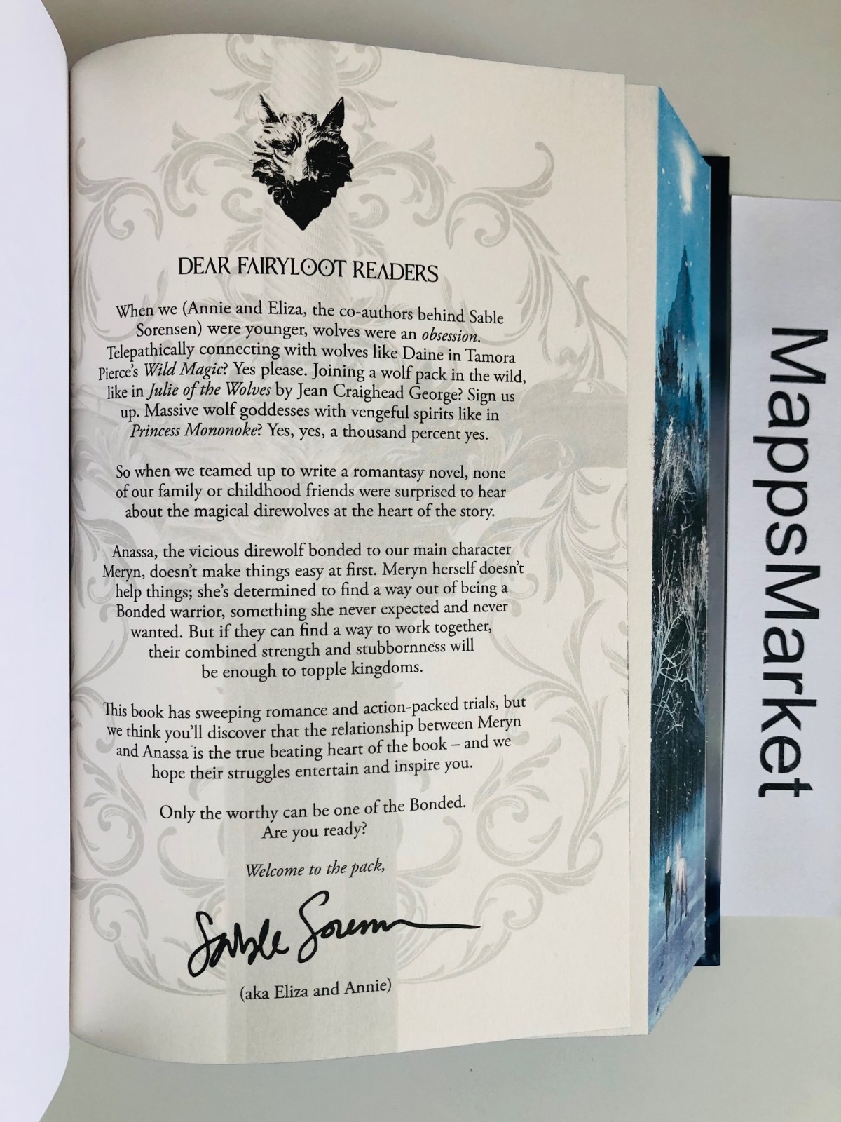 Dire Bound by Sable Sorensen FAIRYLOOT EXCLUSIVE EDITION Unsigned ~ Stenciled