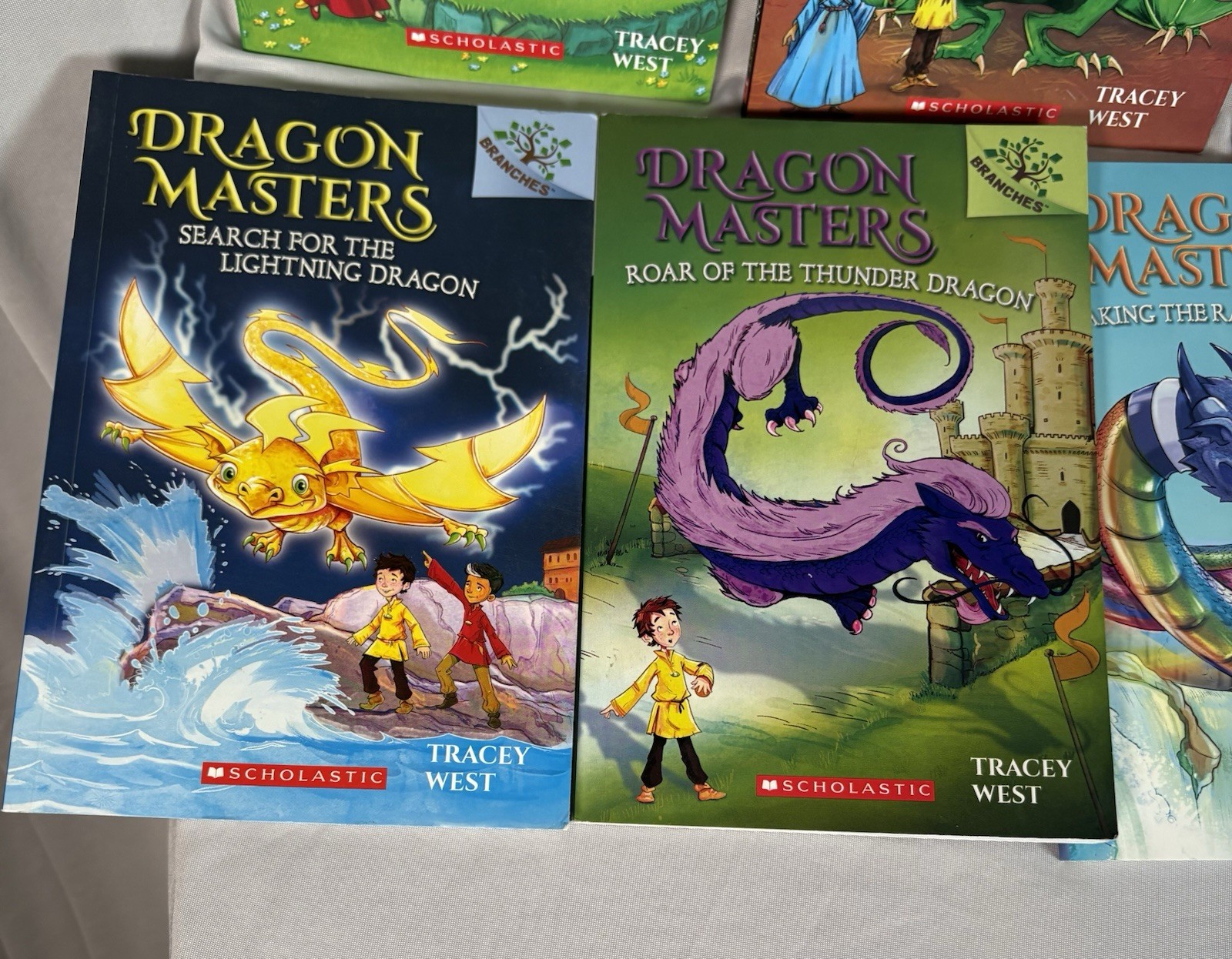 Dragon Masters Book Lot of 9 By Tracey West for Ages 6-8 – Different Adventures