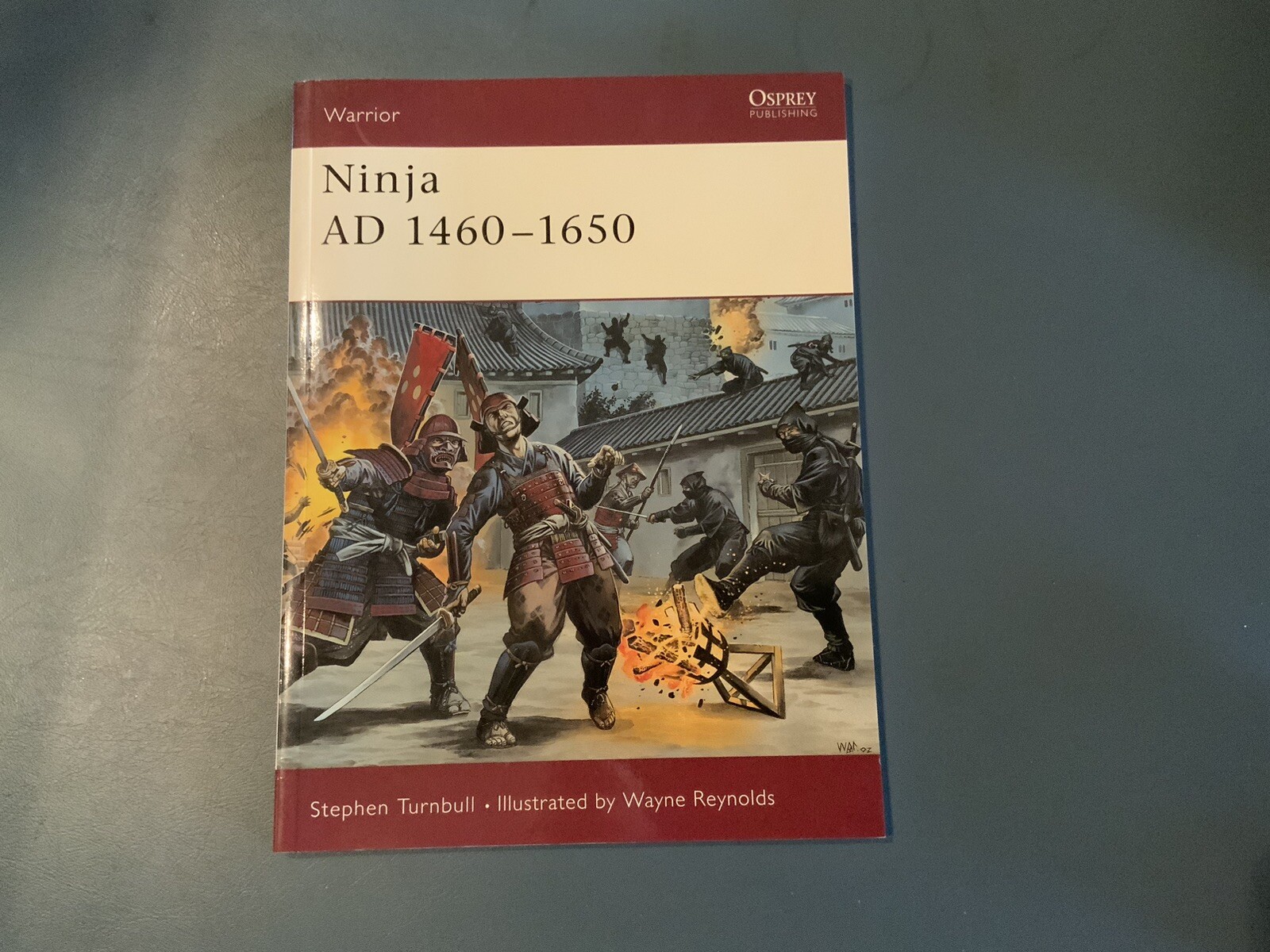 Osprey Warrior Series Ninja AD1460-1650