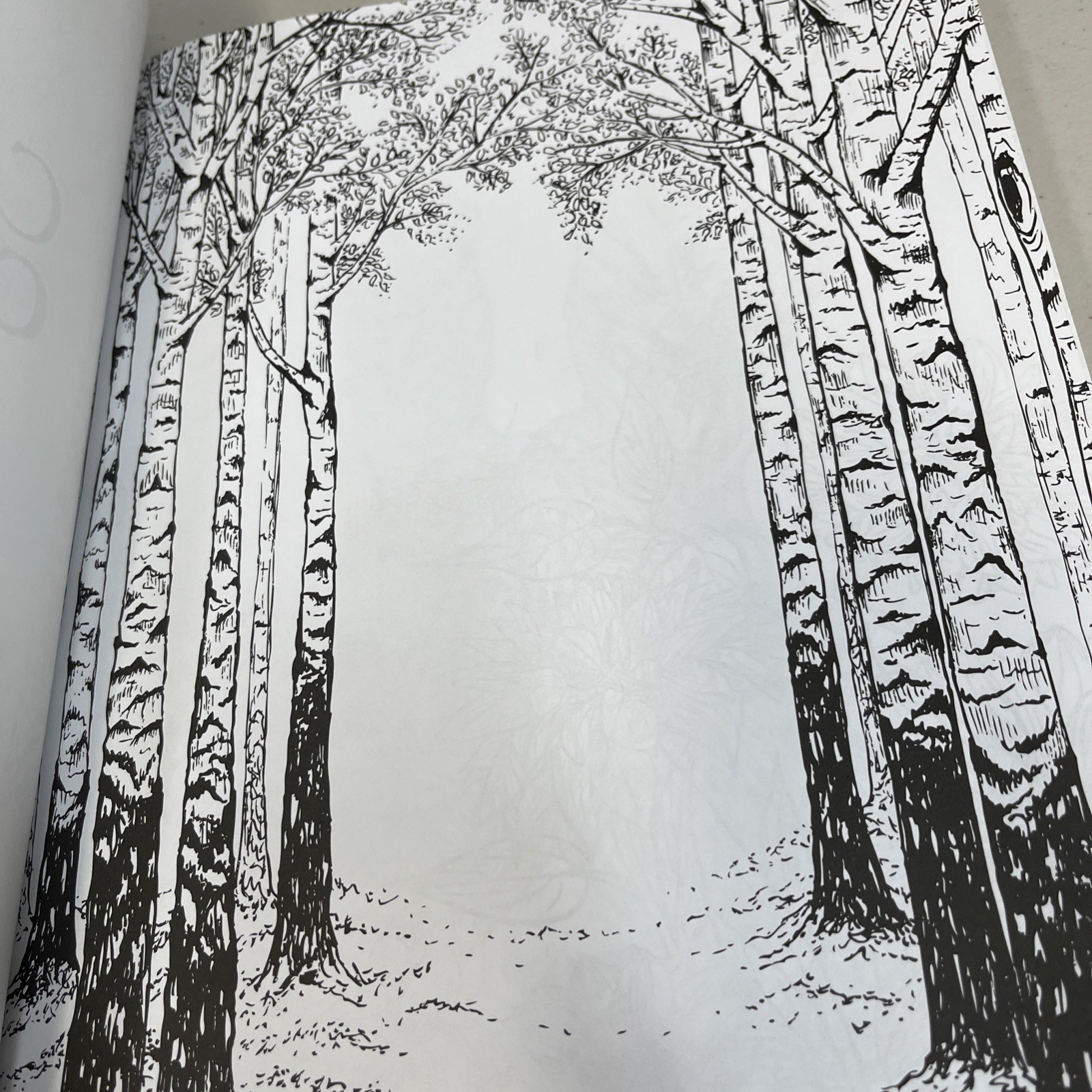 Adult Coloring for Creativity Book 288 Pages New Copyright 2015