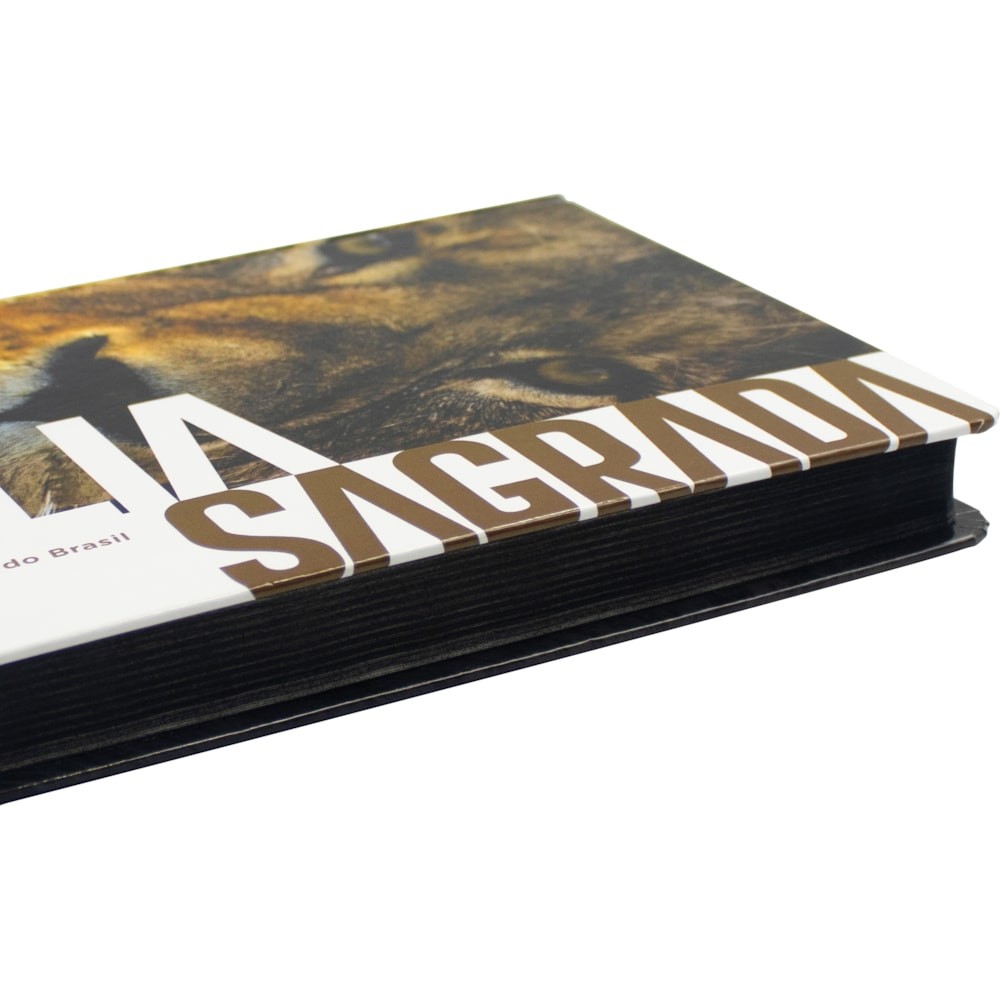 Biblia Sagrada: ARA – Capa: Dura (Em Portugues do Brasil)