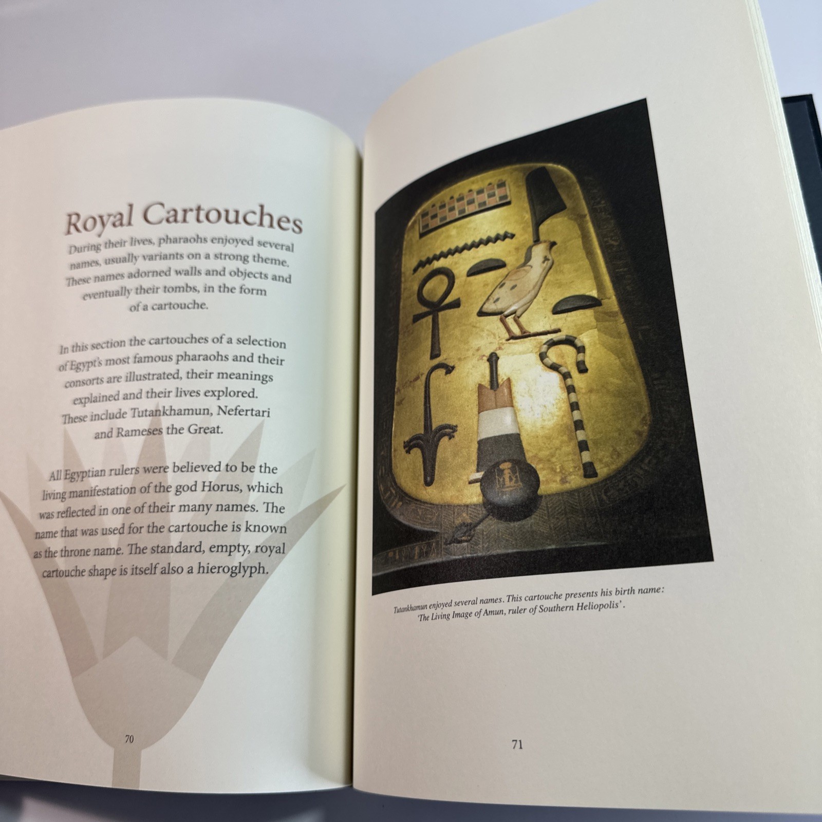 Ancient Egyptian Hieroglyphs Illustrated by Trevor Naylor 2025 Pr. Amber