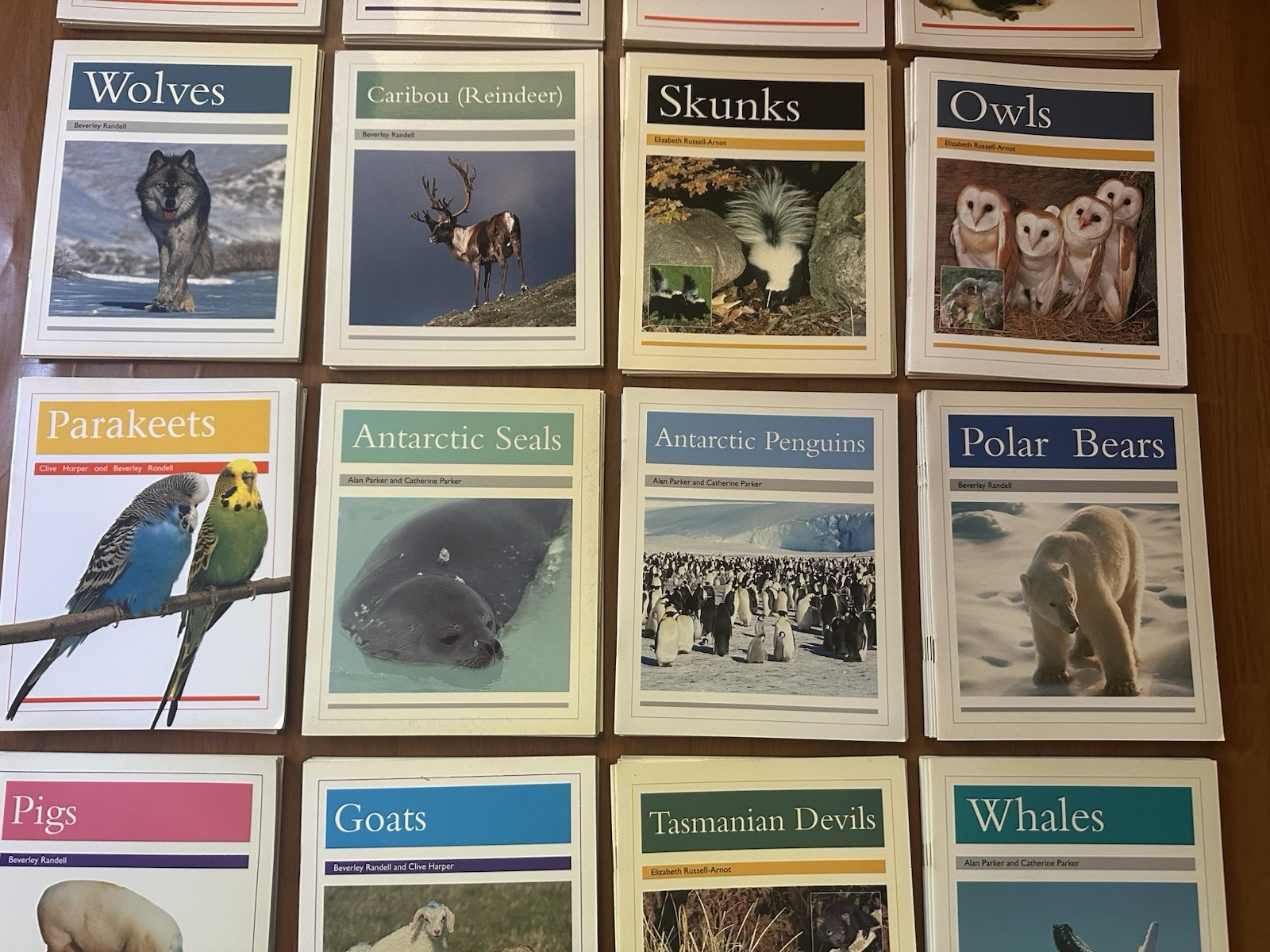 Lot of 24 Rigby PM Animal Facts Books Readers – Early Learning Homeschool