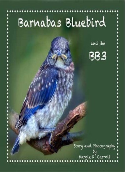 Barnabas Bluebird and the BB3 By Margie K. Carroll