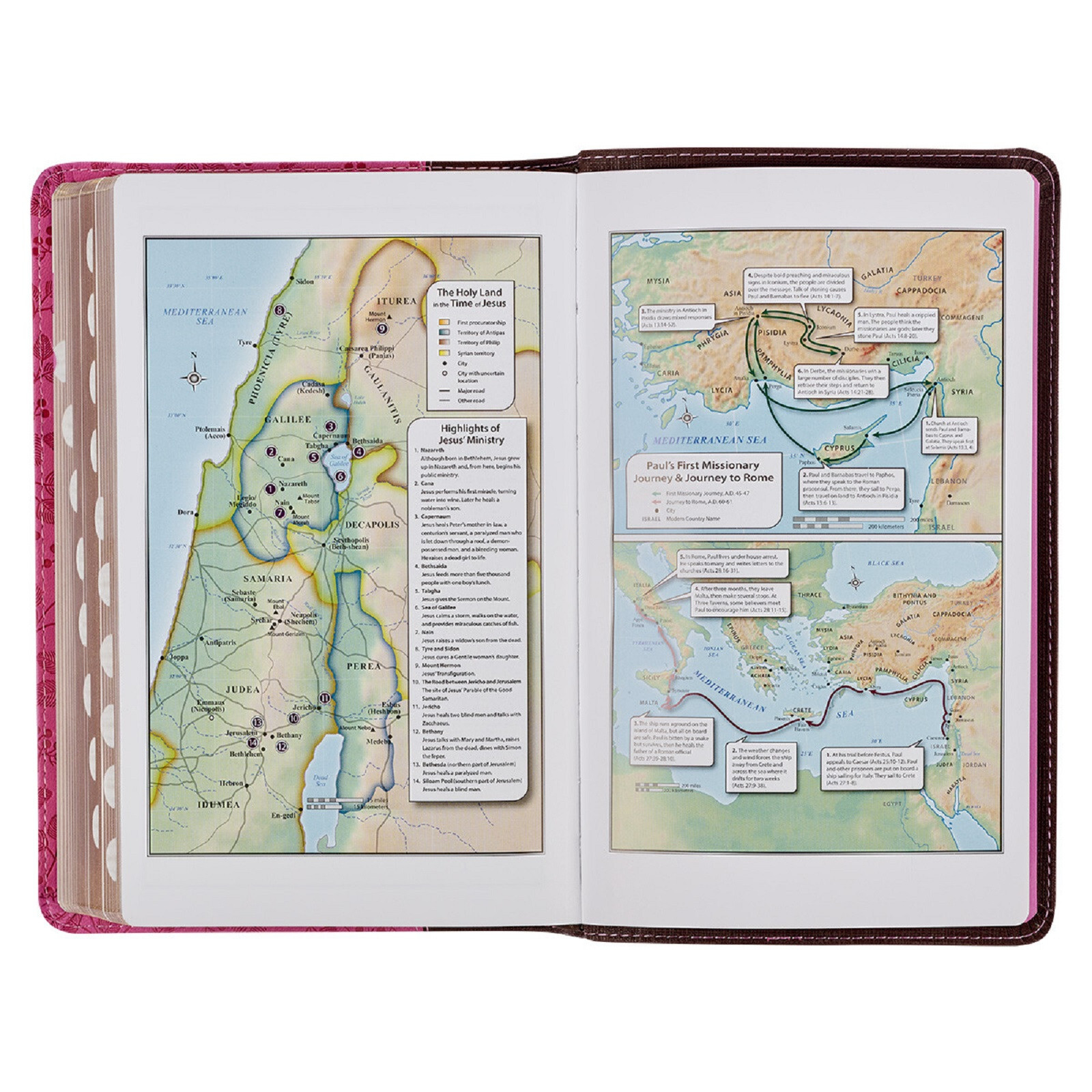 KJV Giant Print Brown Berry Pink Thumb Indexed BRAND NEW in Shrink Wrap!!!