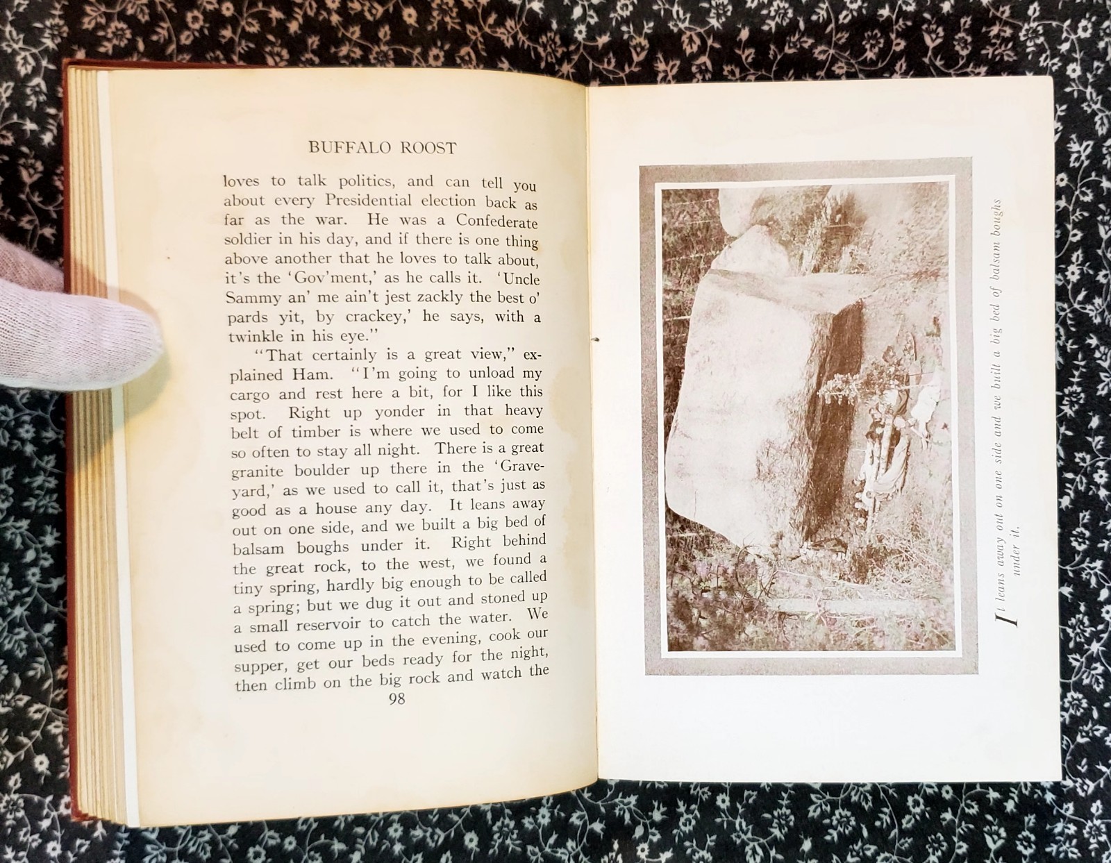 Buffalo Roost, F. H. Cheley, 1913, First Edition, Hardcover, Antique