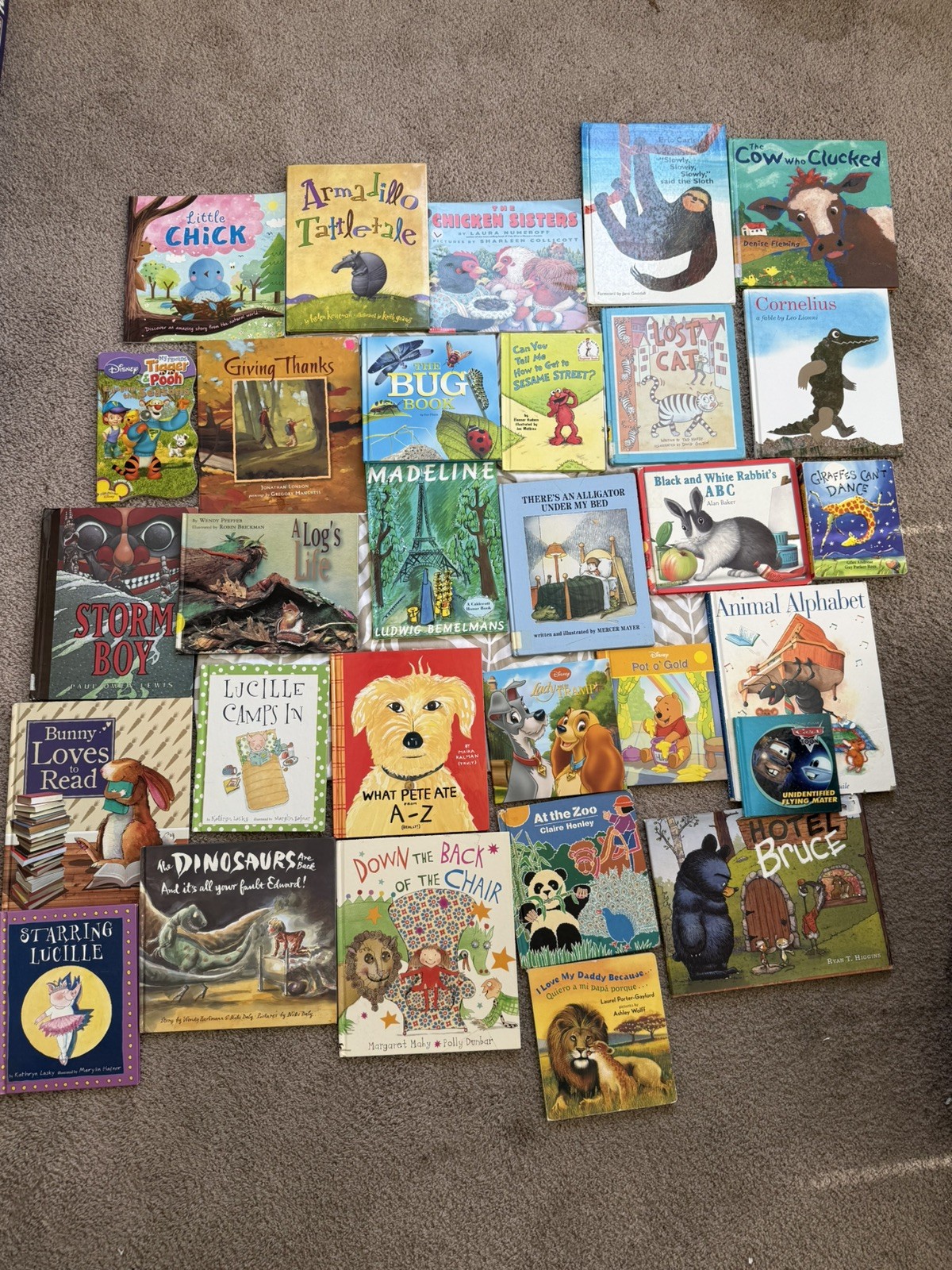Random Lot of 30 – Books for Children’s/ Kids/ Toddler Babies/Preschool/Daycare