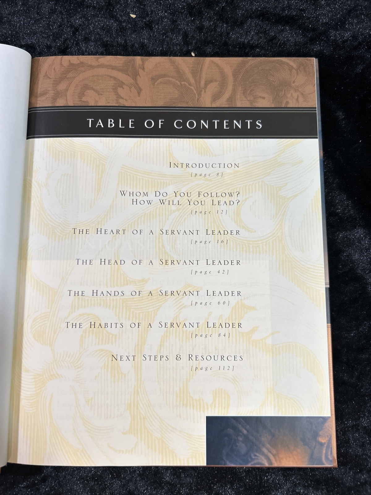 The Servant Leader – Ken Blanchard/Phil Hodges – h/c 2003 illustrated