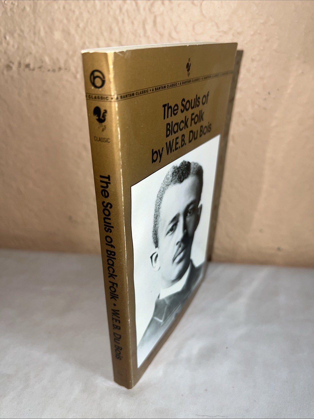 Vintage The Souls of Black Folk by W. E. B. Du Bois Trade Paperback VERY GOOD