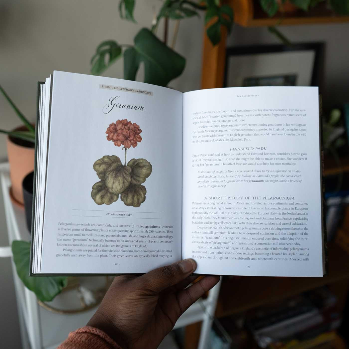 Jane Austen’s Garden: A Botanical Tour of the Classic Novels