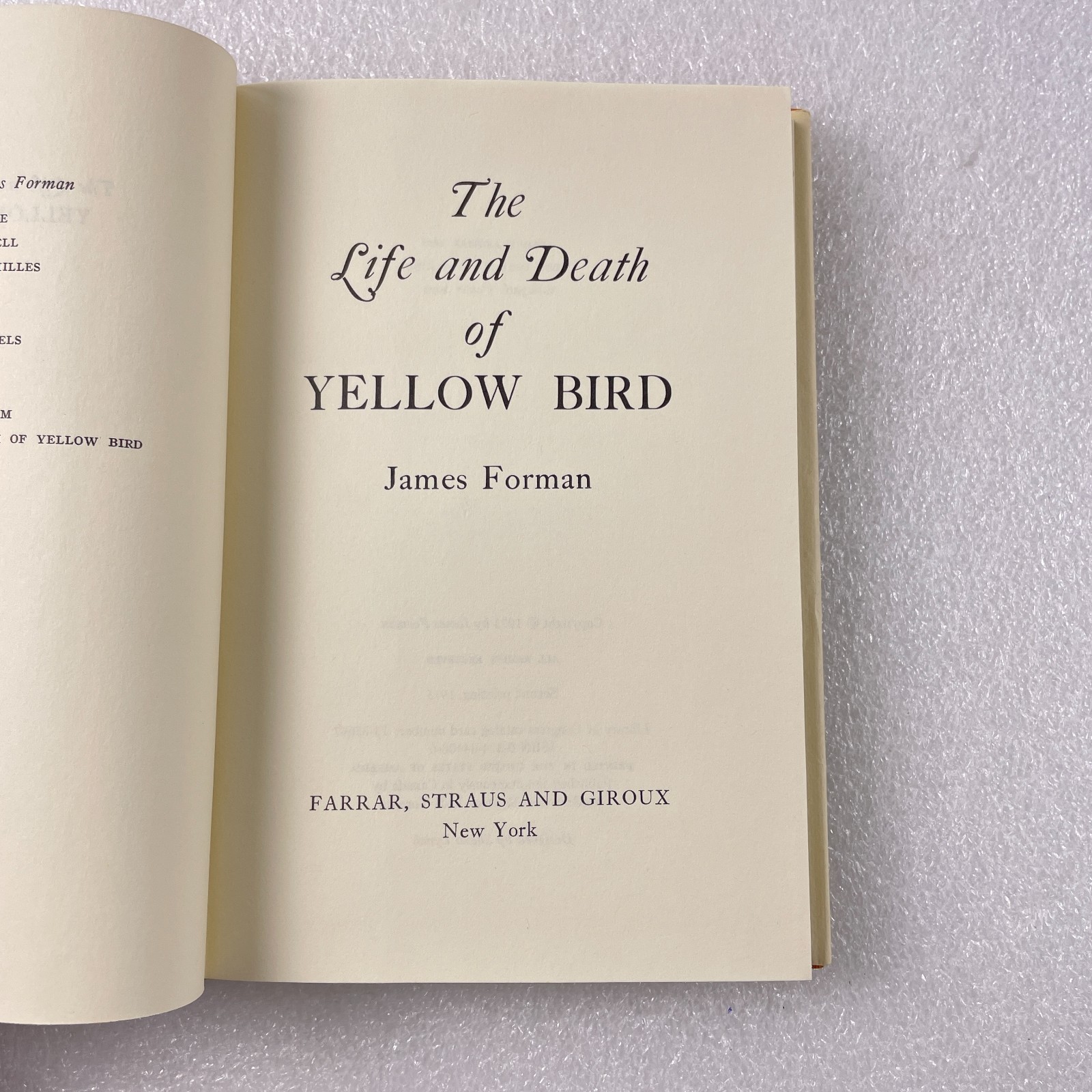 The Life and Death of Yellow Bird by James Forman – Farrar Straus Giroux 1975 HC