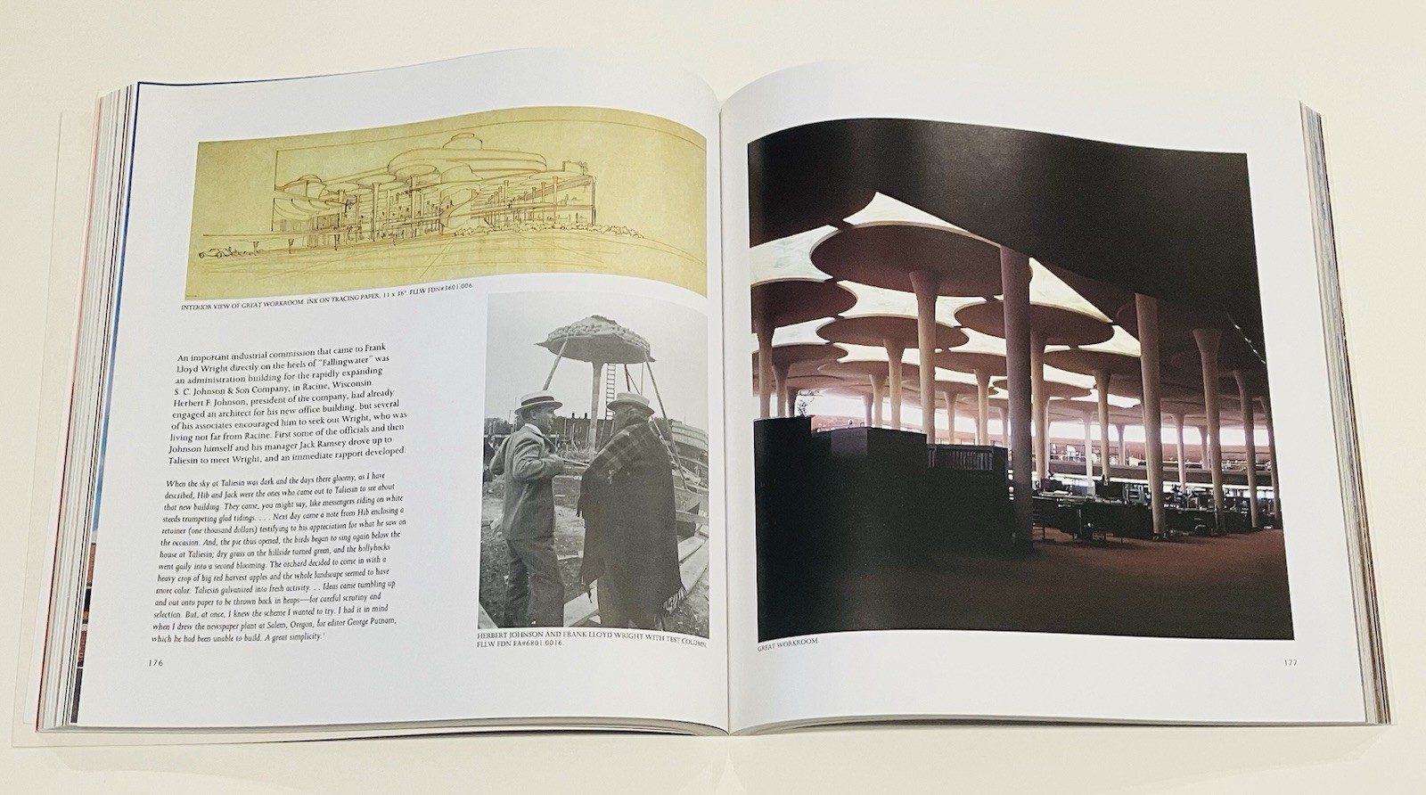Frank Lloyd Wright: The Masterworks, David Larkin, Bruce Brooks Pfeiffer
