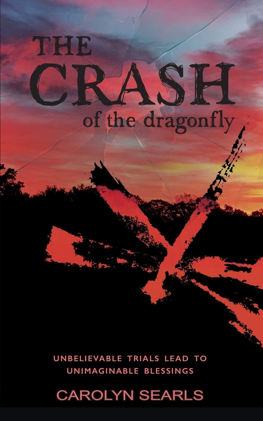 The Crash of the Dragonfly: Unbelievable Trials Lead to Unimaginable Blessin…