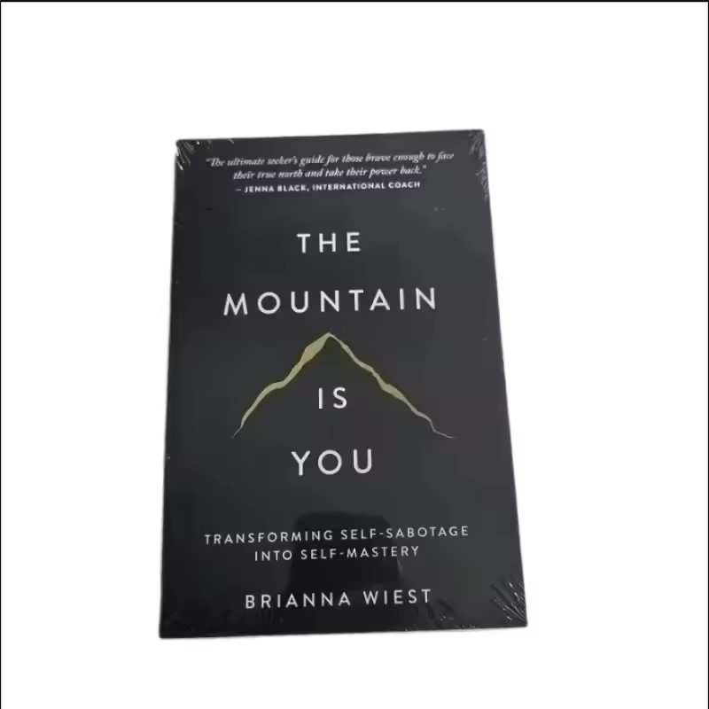 The Mountain Is You by Brianna Wiest