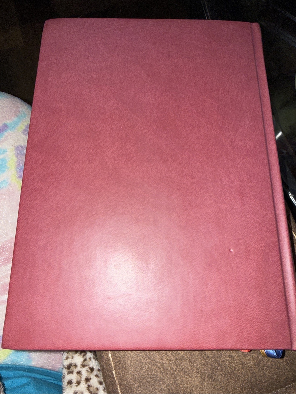 Order of Christian Initiation of Adults 2024 Catholic HC Book Beautiful