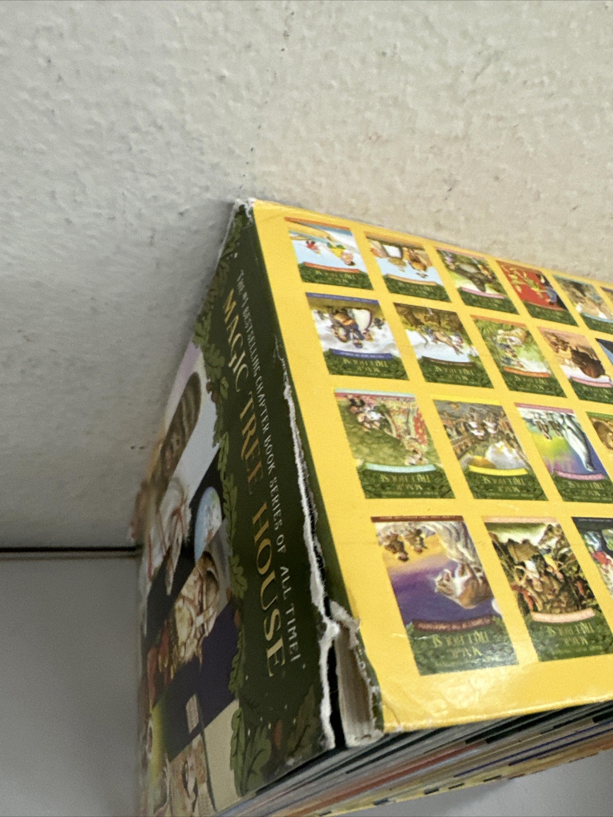 A Library of Superkids Magic Tree House 1-28 books Box Set Used Everything