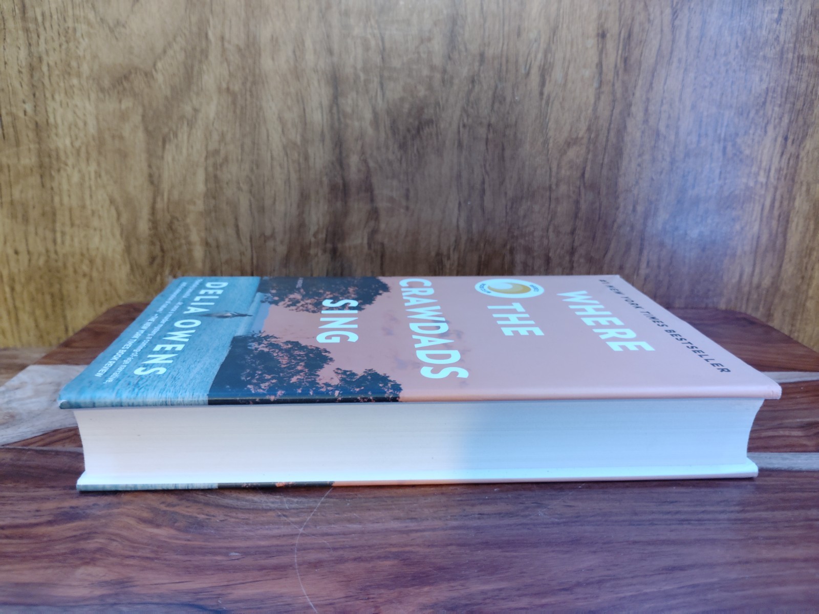 Where the Crawdads Sing – Delia Owens | Hardcover Reeses Book Club 2018