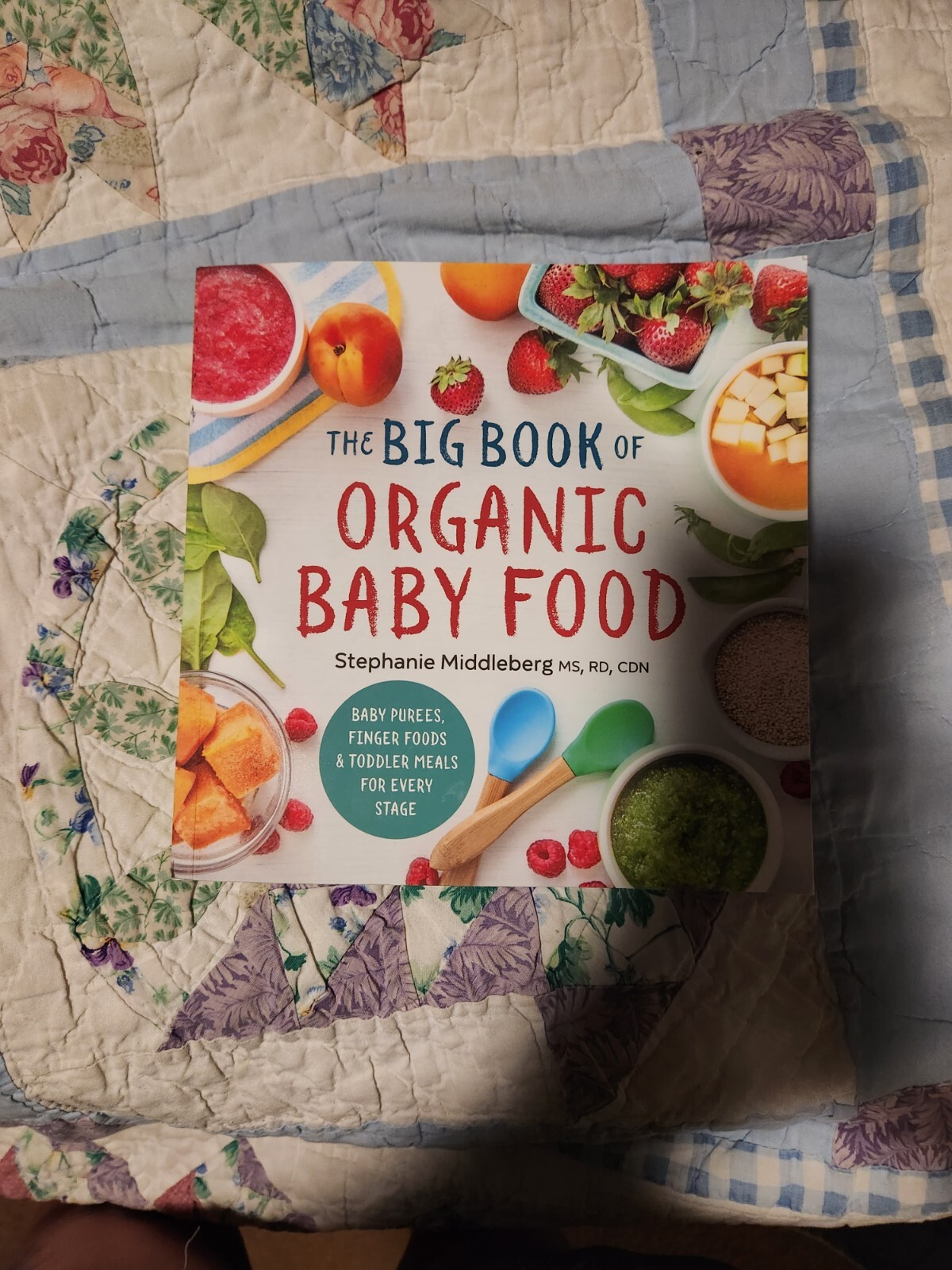 The Big Book of Organic Baby Food : Baby Purées, Finger Foods, and Toddler Meals
