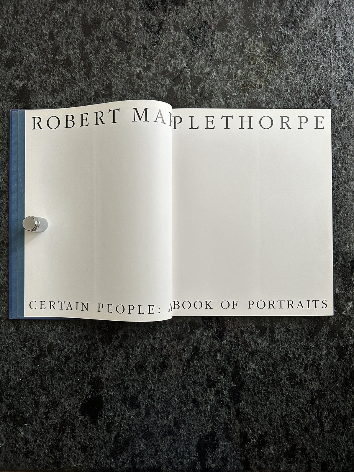 Robert Mapplethorpe Certain People by Susan Sontag 1985 Hardcover