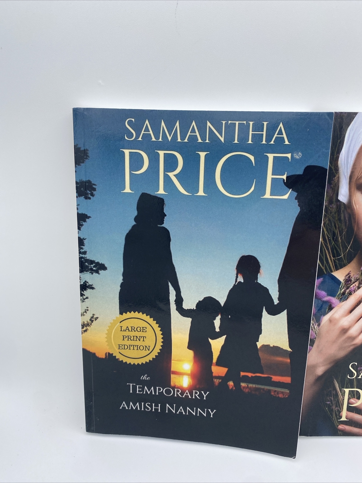 The Temporary Amish Nanny & The Amish Bishops Daughter Large Print books