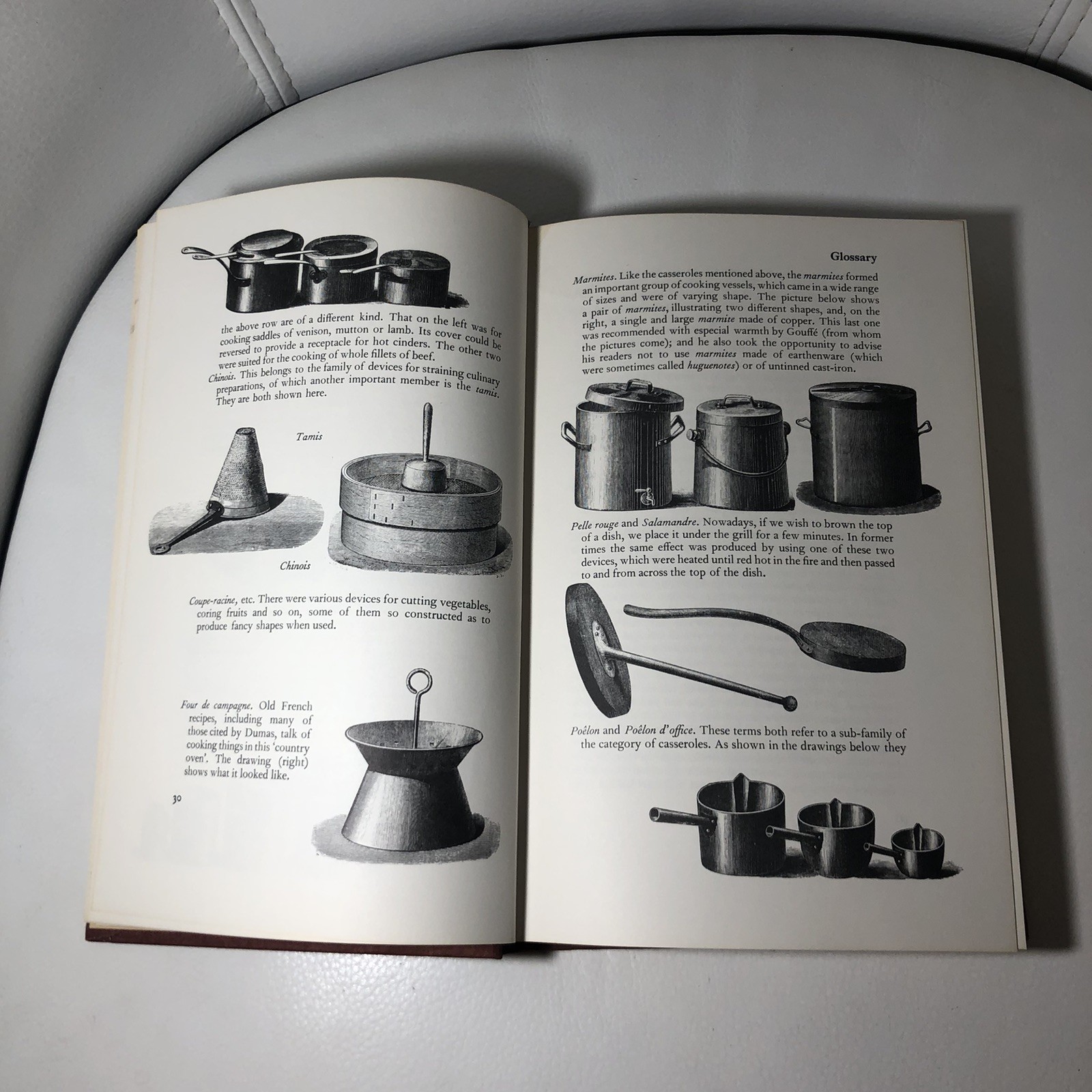 Dumas on food: Selections from Le grand dictionnaire de cuisine