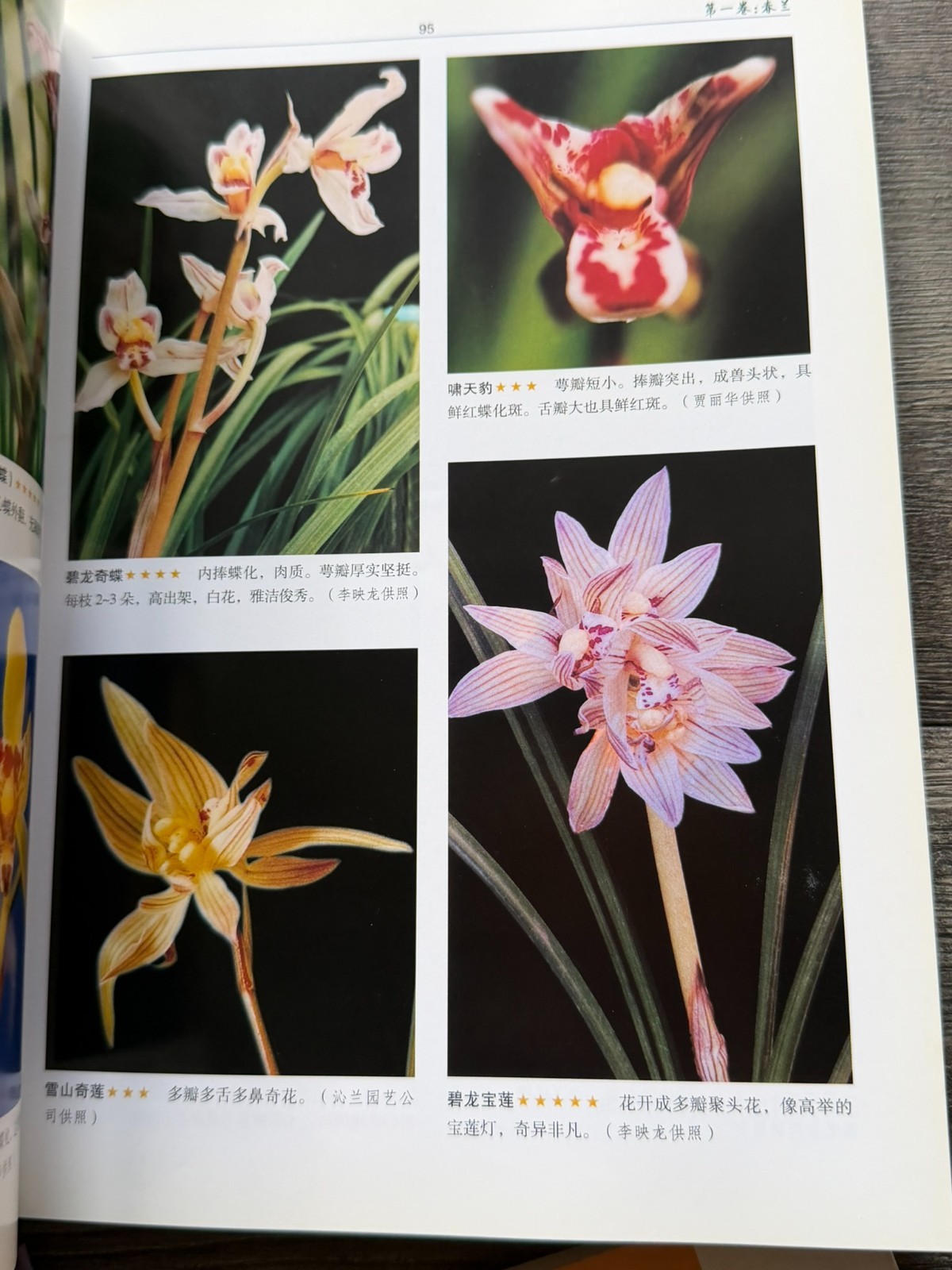 ORCHID Book 6pc Lot Chinese Language Hardcover Softcover Flowers Floristry