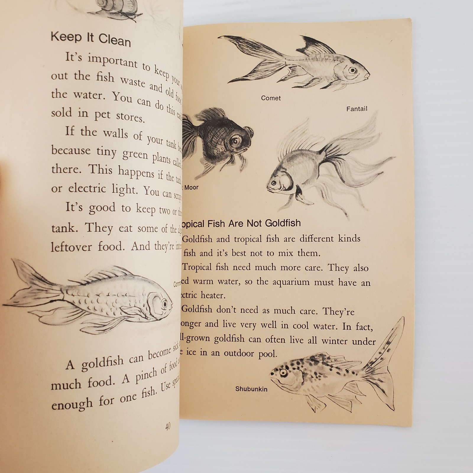 Indoor Pets and How to Keep Them Winifred & Cecil Lubell 1st print 1st Ed 1974