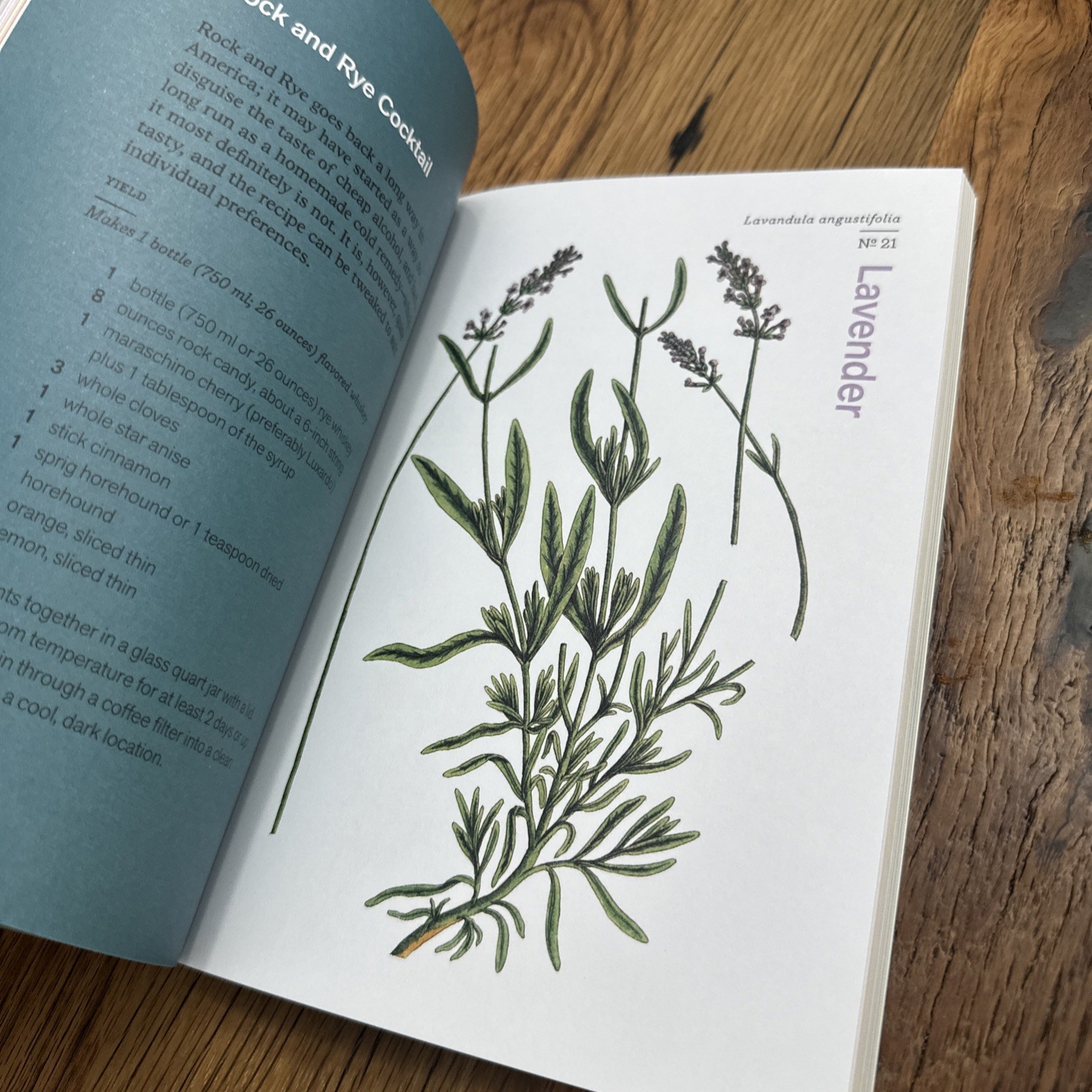 Herbal Handbook Recipes Tinctures Teas Balms And More New York Botanical Garden