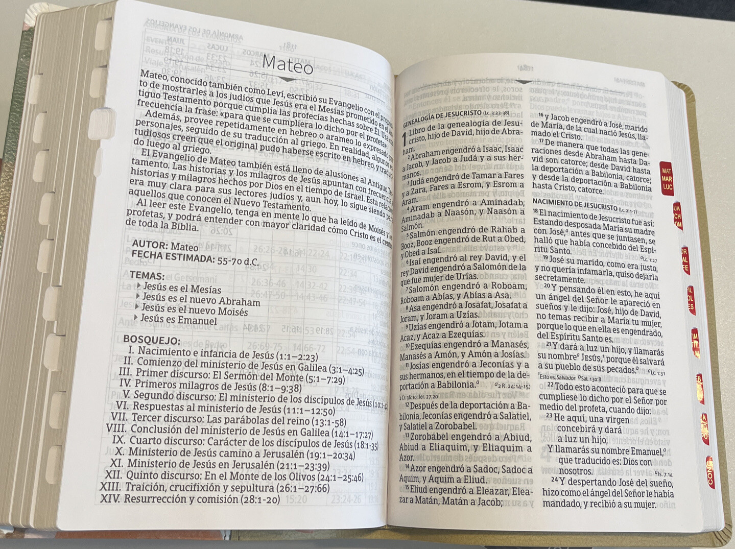 BIBLIA RVR1960 LETRA GRANDE 12pun.TAMANO MANUAL MULTICOLOR SIMIL PIEL CON INDICE