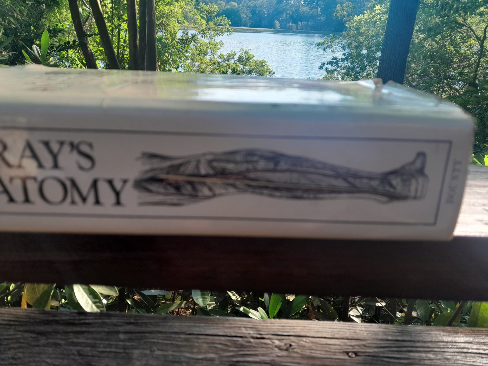 Gray’s Anatomy: The Classic Collector’s Edition~Henry Gray~VINTAGE 1977 HC/DJ