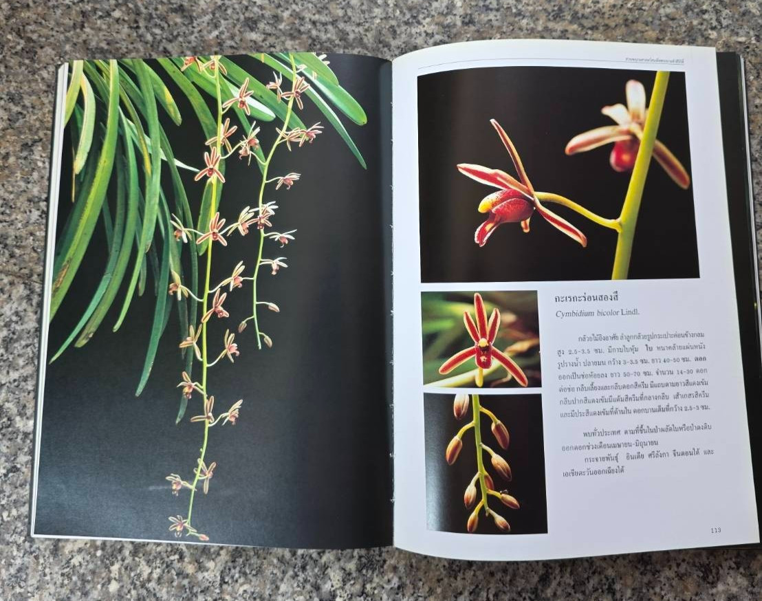 Hardcover book featuring all “ Thai orchids. “ ( Hardcover)