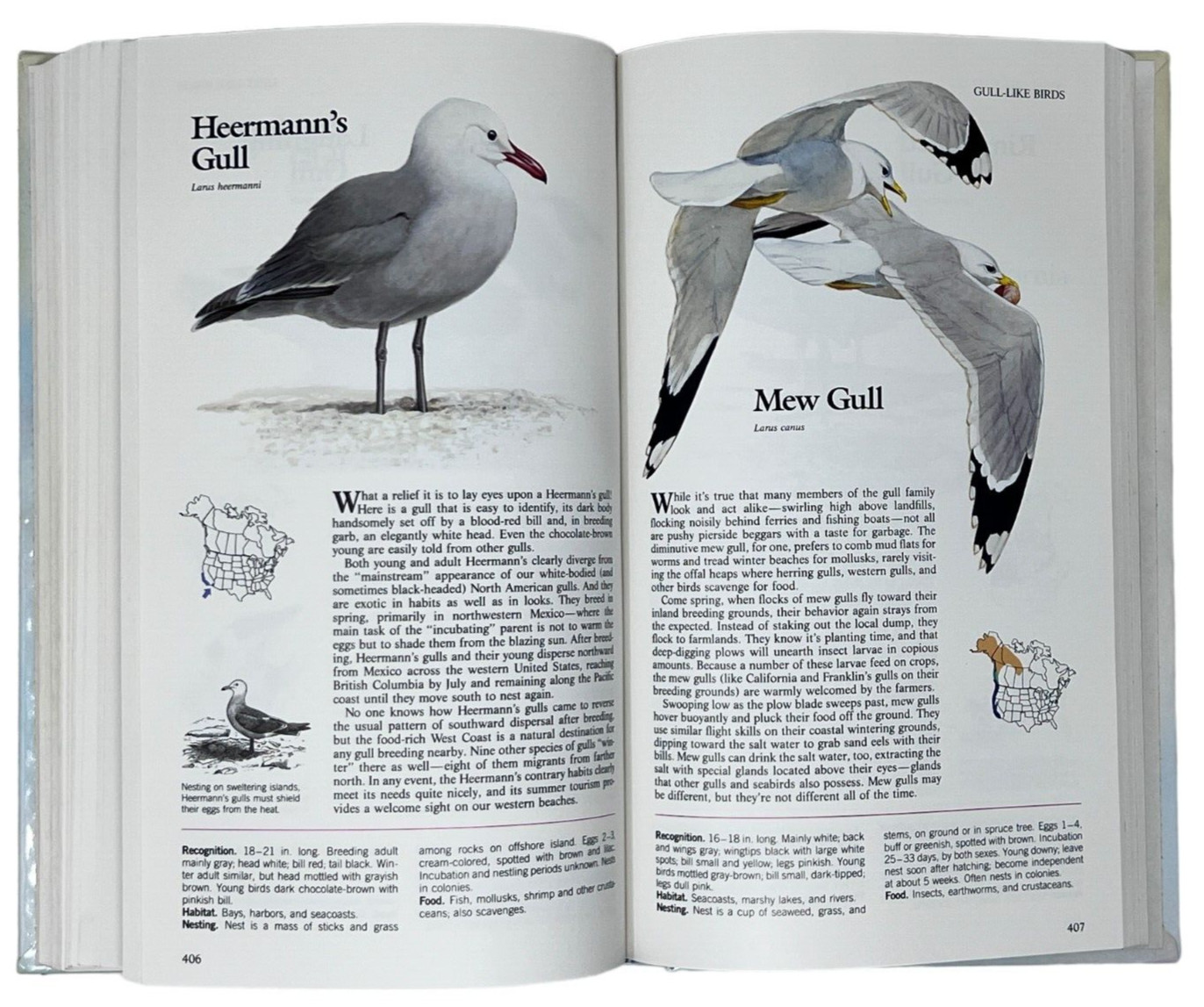 Reader’s Digest Book of North American Birds 1990 600 Species 576 Pages Illos