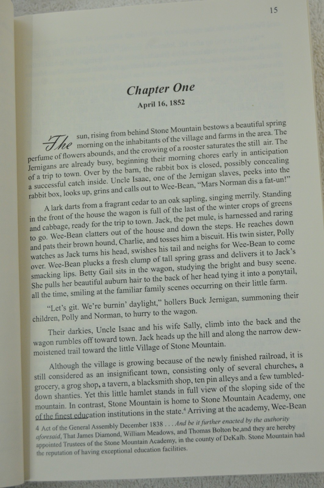 George D N Coletti / Stone Mountain The Granite Sentinel Signed 2009 Civil War